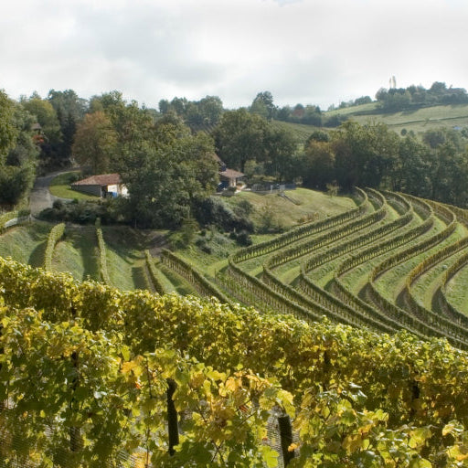 The Maverick of the Loire: Domaine Didier Dagueneau’s Uncompromising Vision