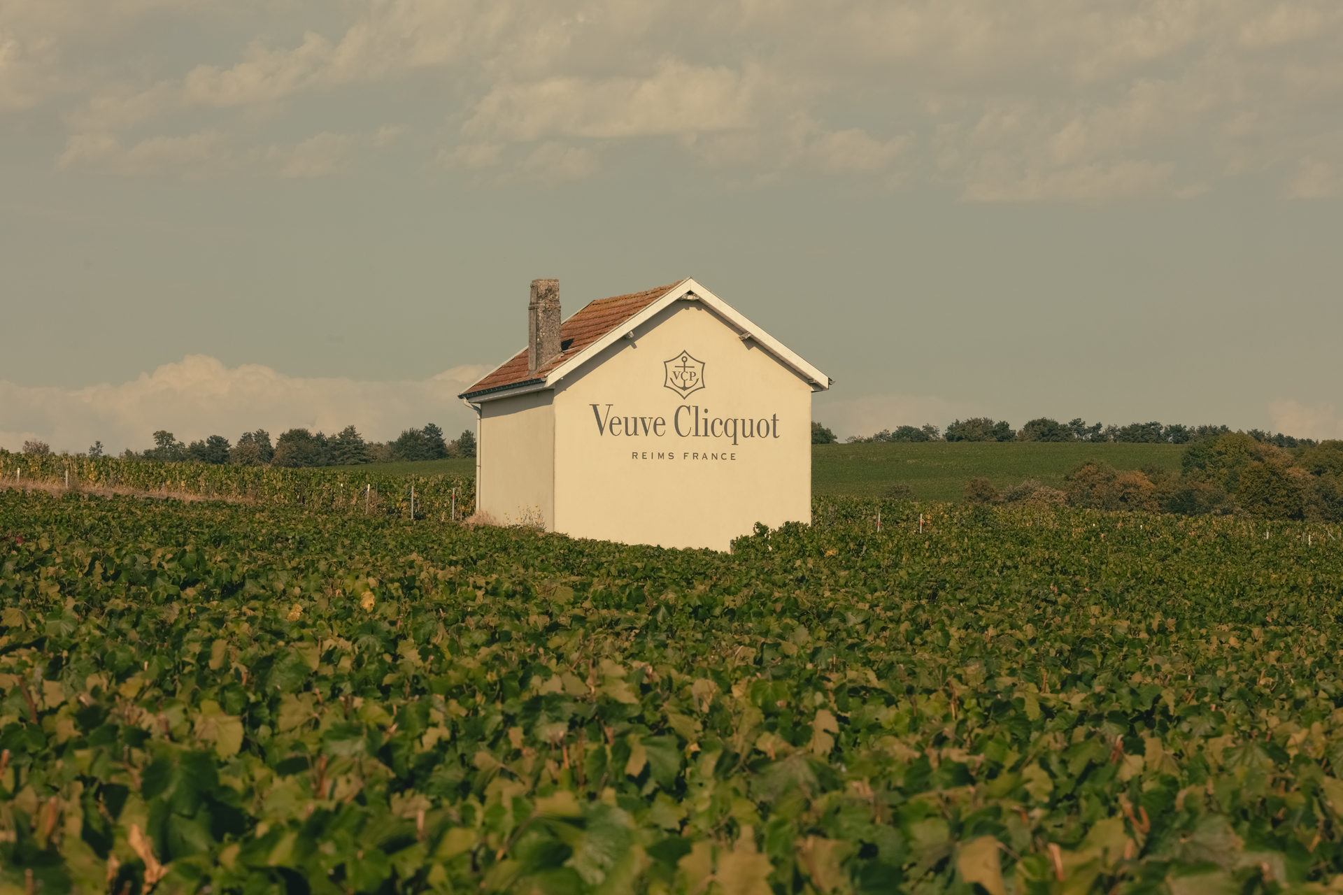 Veuve Clicquot