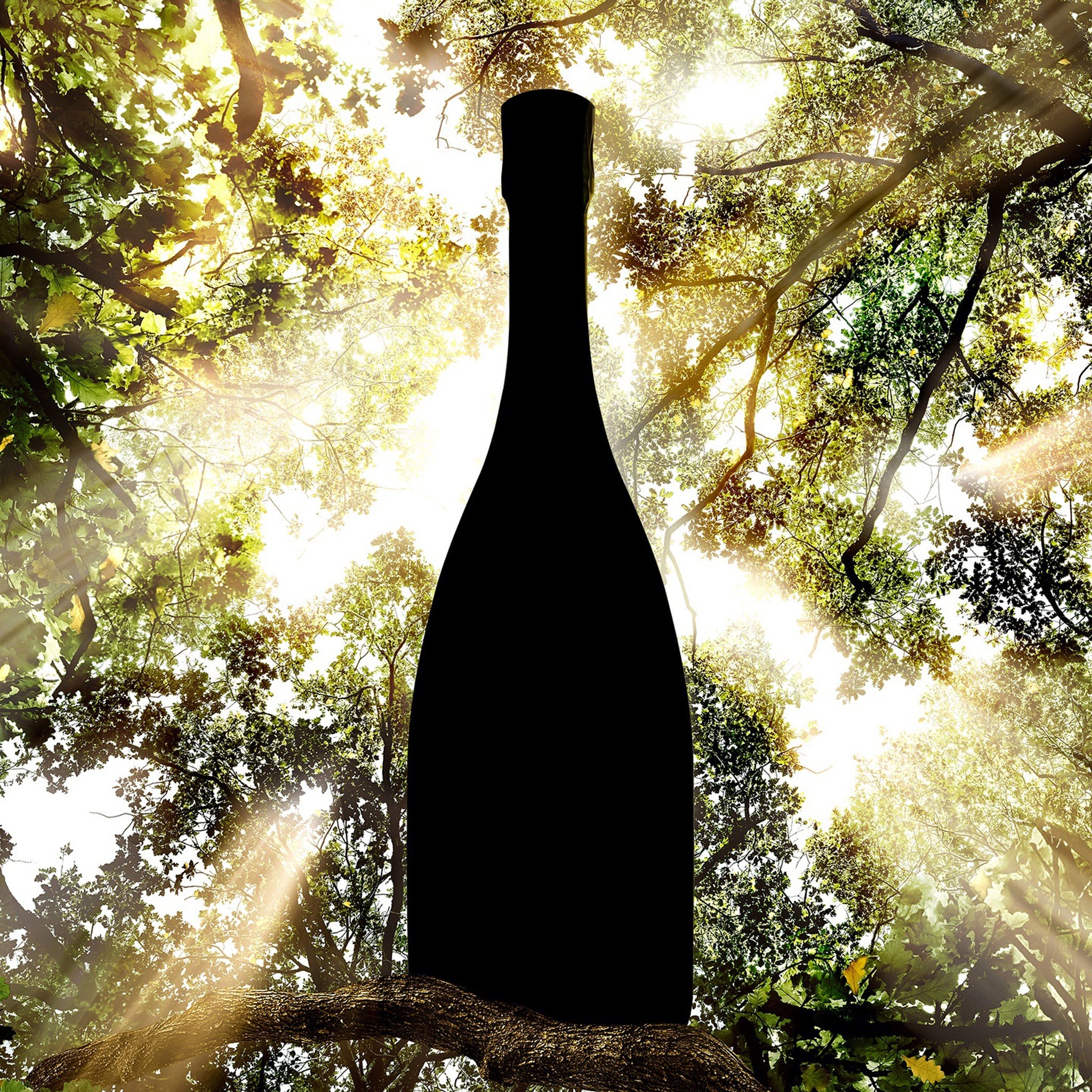 Bollinger Special Cuvée Brut NV 15L