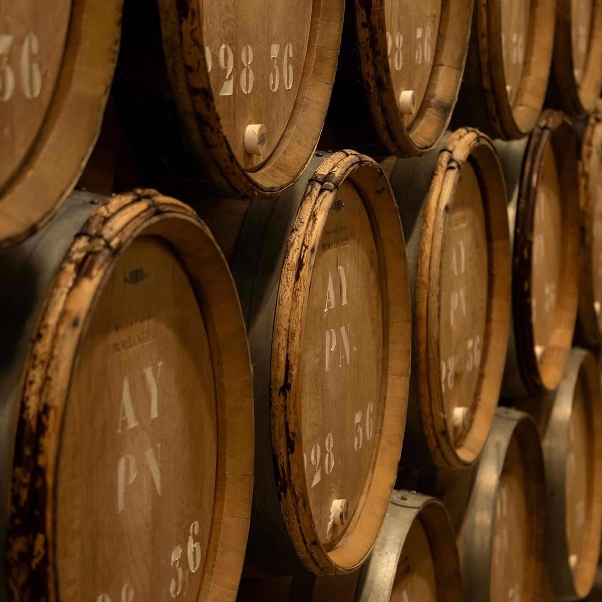 Bollinger Special Cuvée Brut NV James Bond 007 Limited Edition