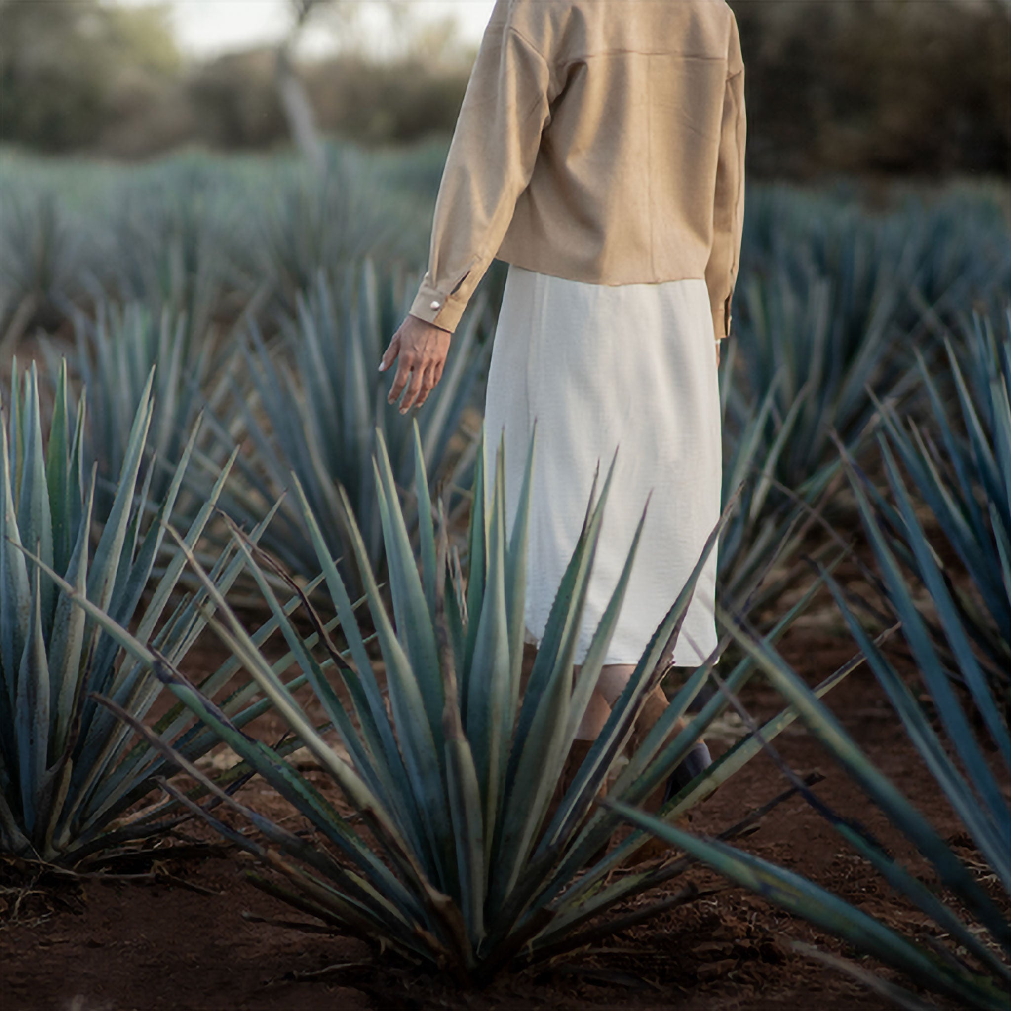 Clase Azul Reposado Tequila 750ml