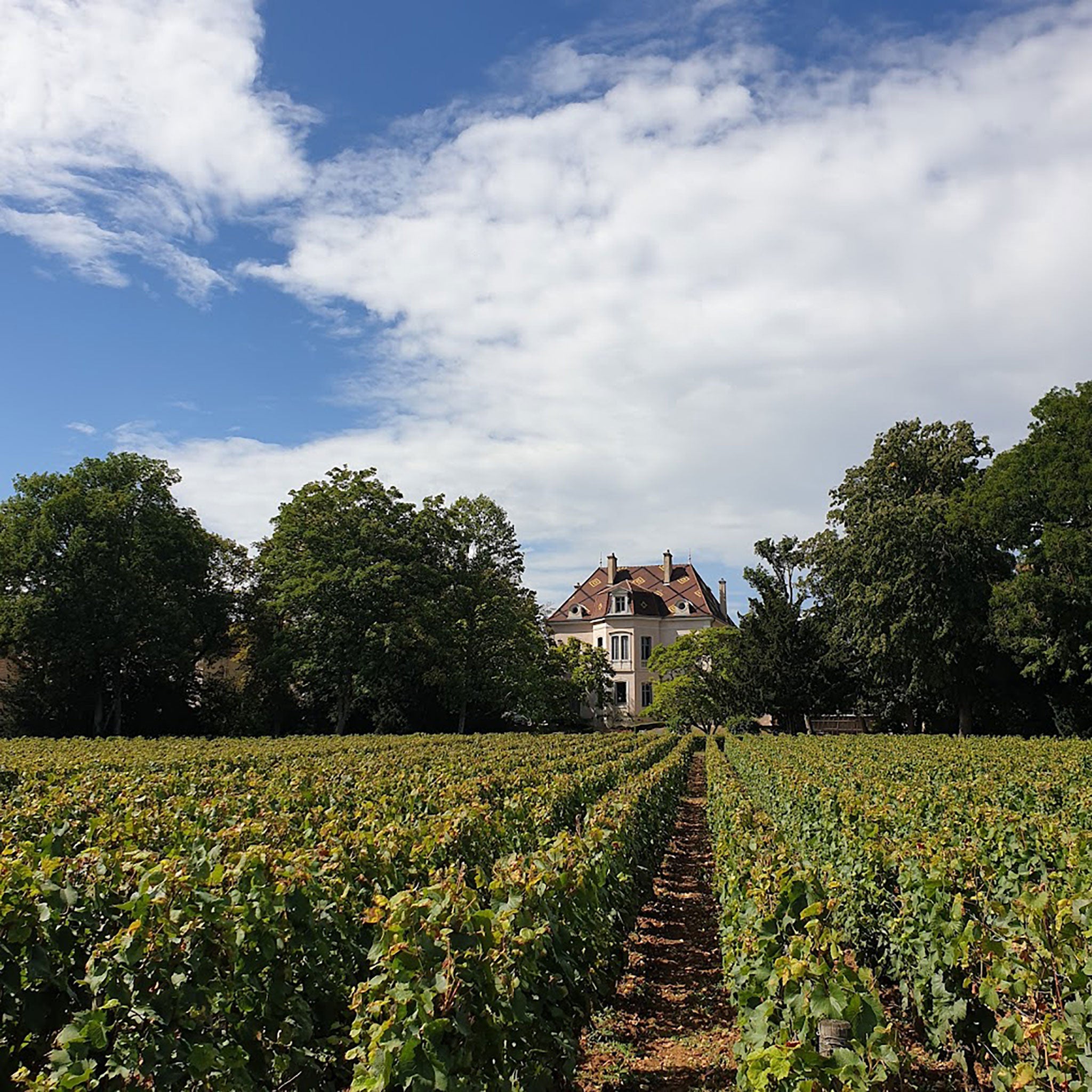 Domaine Des Comtes Lafon Monthélie-Les Duresses 2021