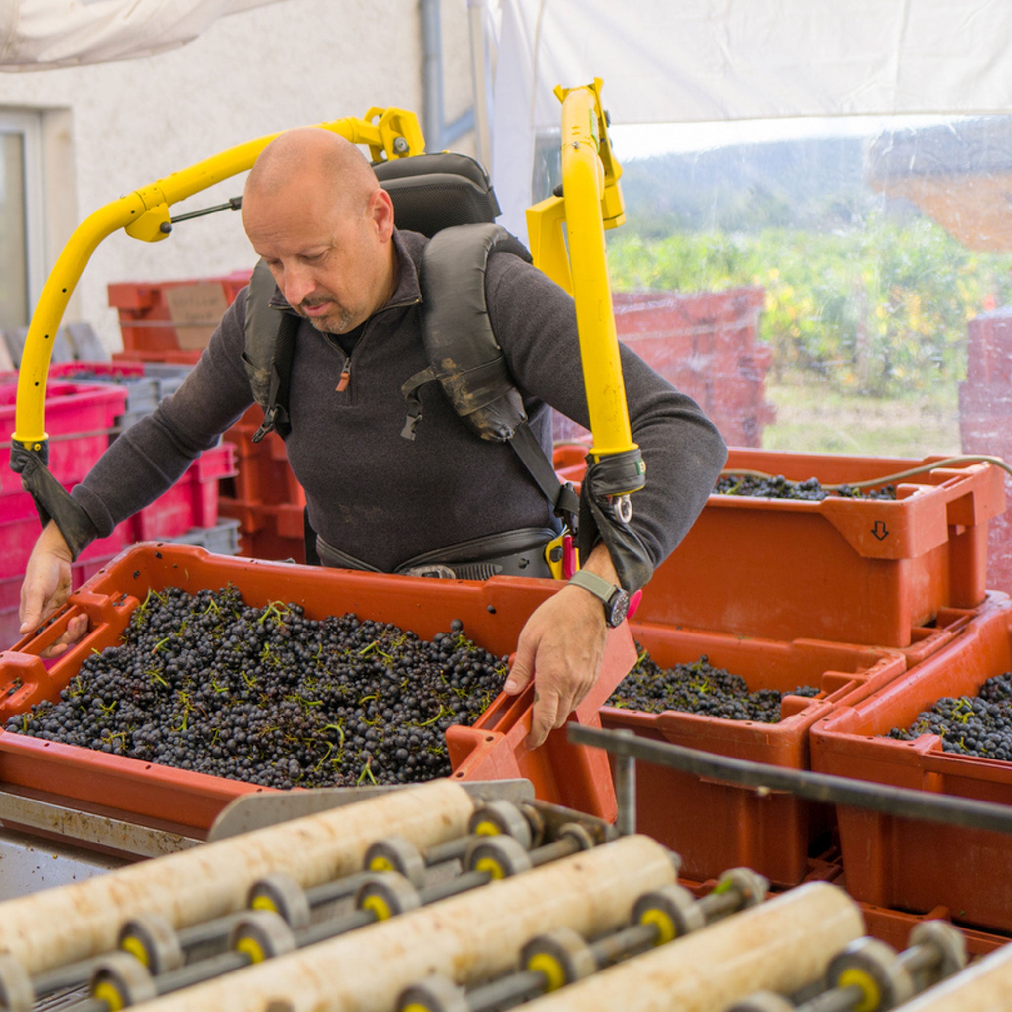 Domaine Fourrier Cote de Nuits Clos de lá Belle Marguerite 2022 1.5L