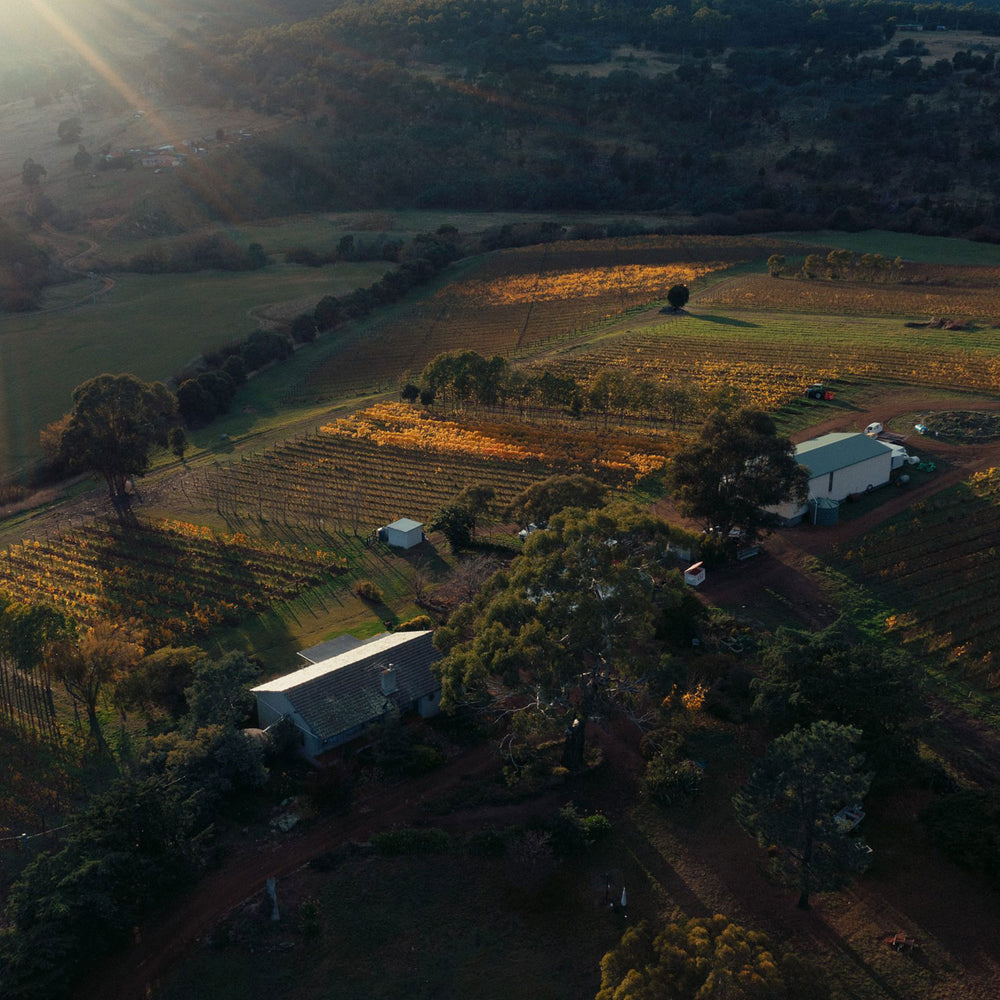 Pooley Margaret Pooley Tribute Riesling 2022 - Kent Street Cellars