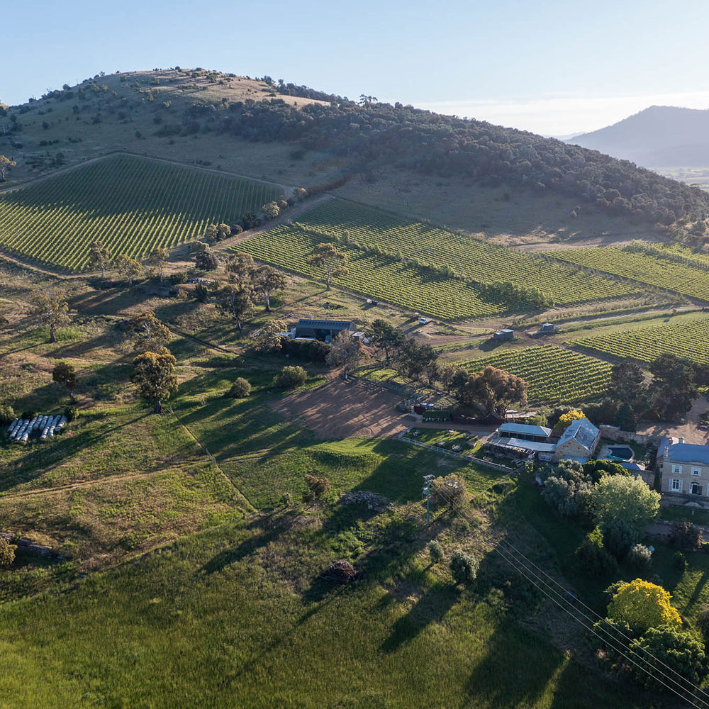 Pooley Margaret Pooley Tribute Riesling 2022 - Kent Street Cellars