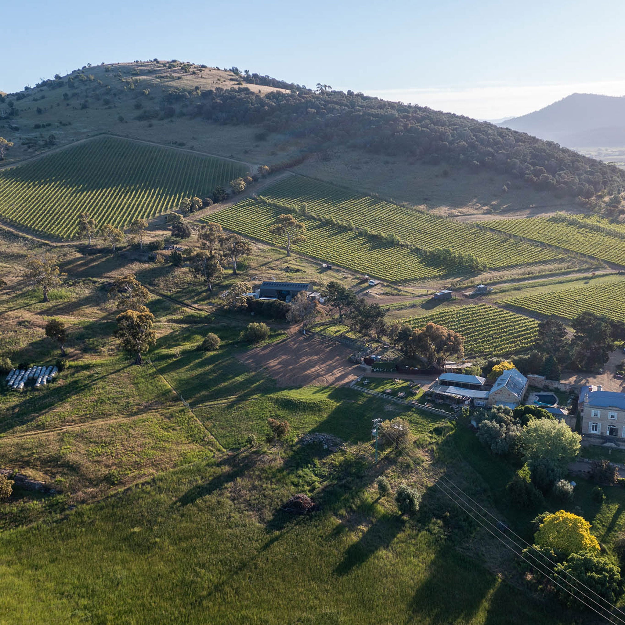 Pooley Butcher’s Hill Oronsay Pinot Noir 2023