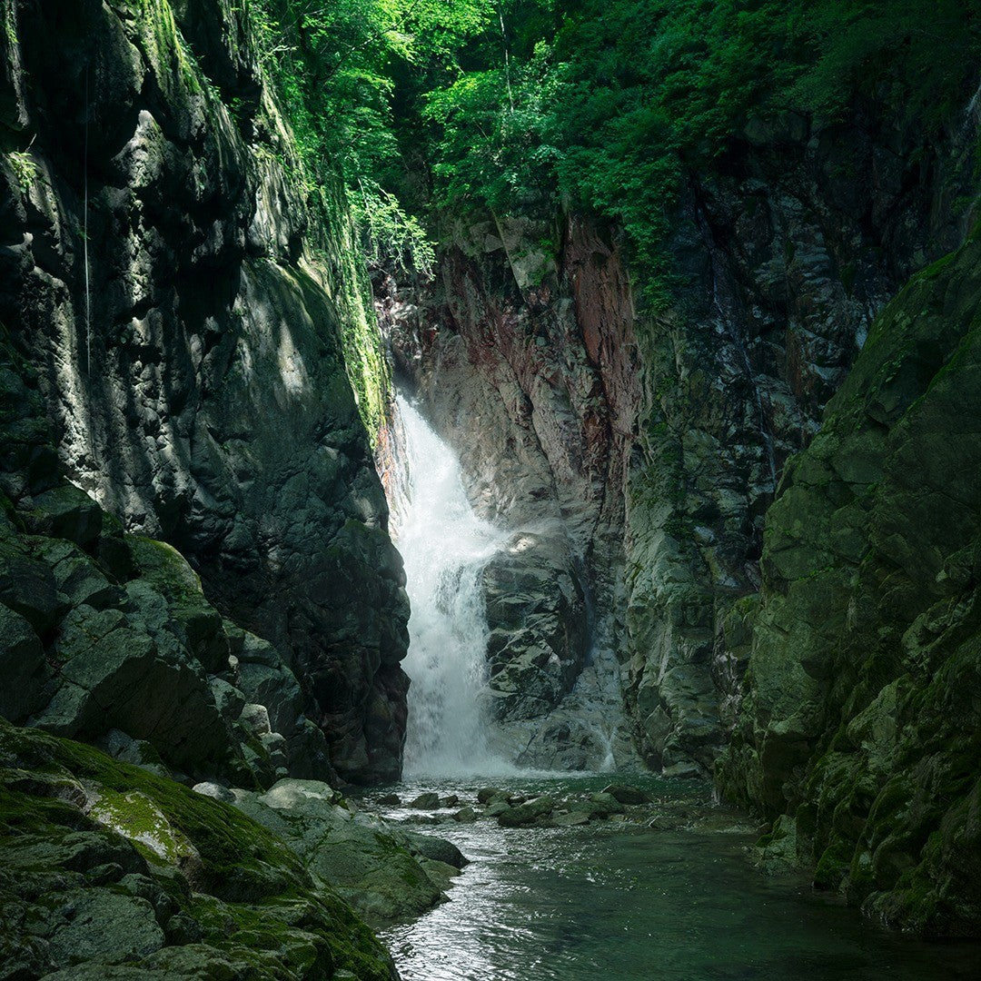 Philosophy - Hakushu