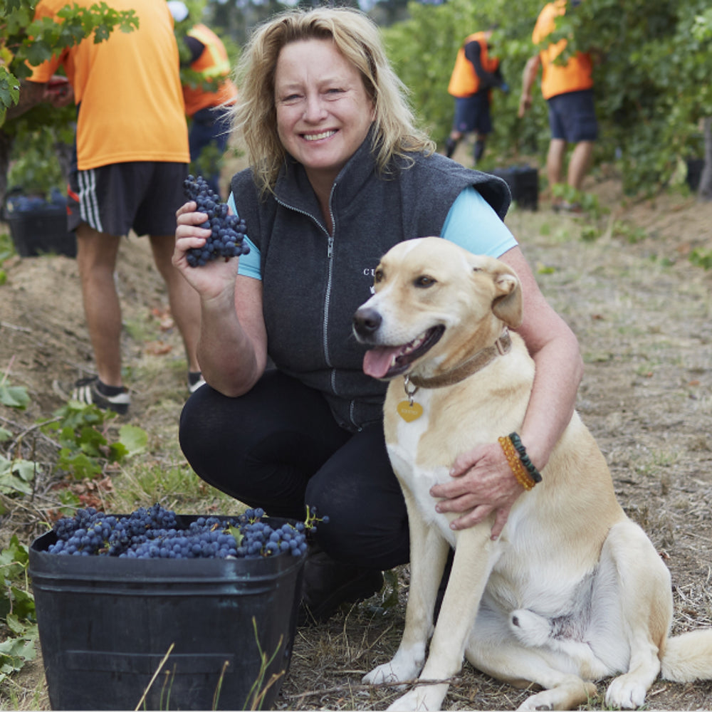 Cullen Wines Diana Madeline Cabernet Merlot 2001
