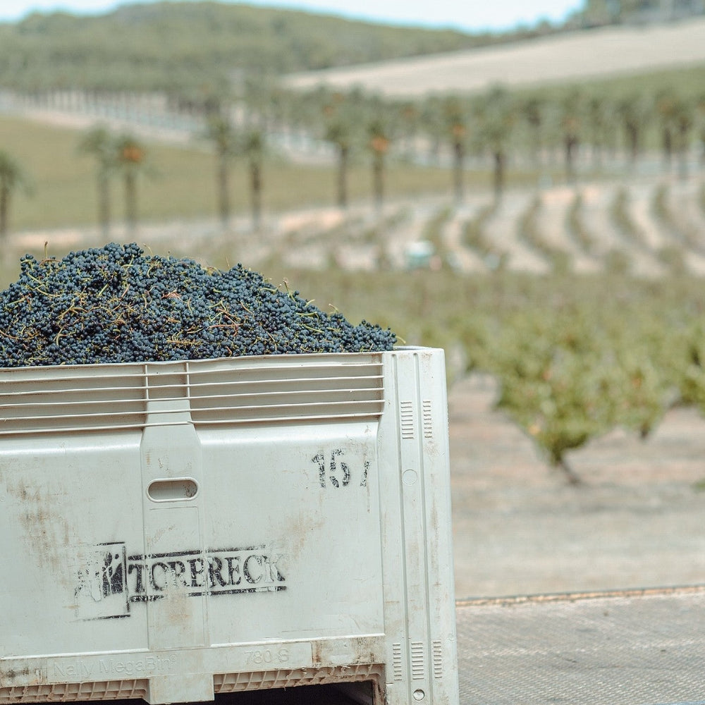 Torbreck Runrig Shiraz Vertical 2015-2020