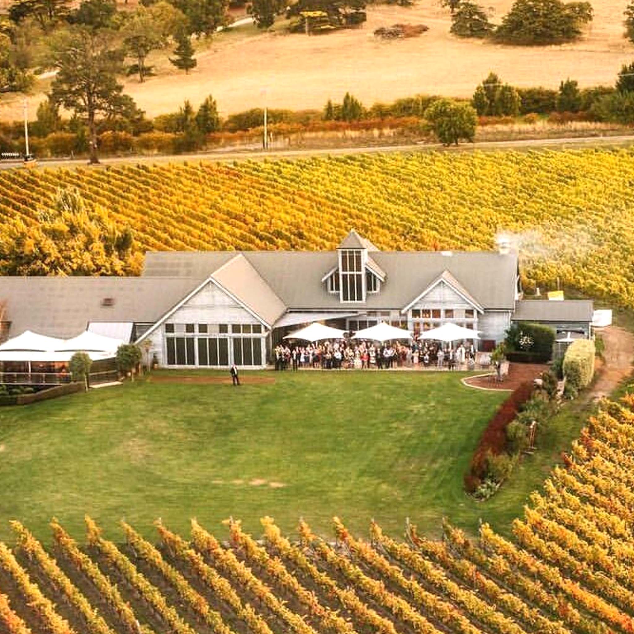 42 Degrees South Pinot Noir 2025