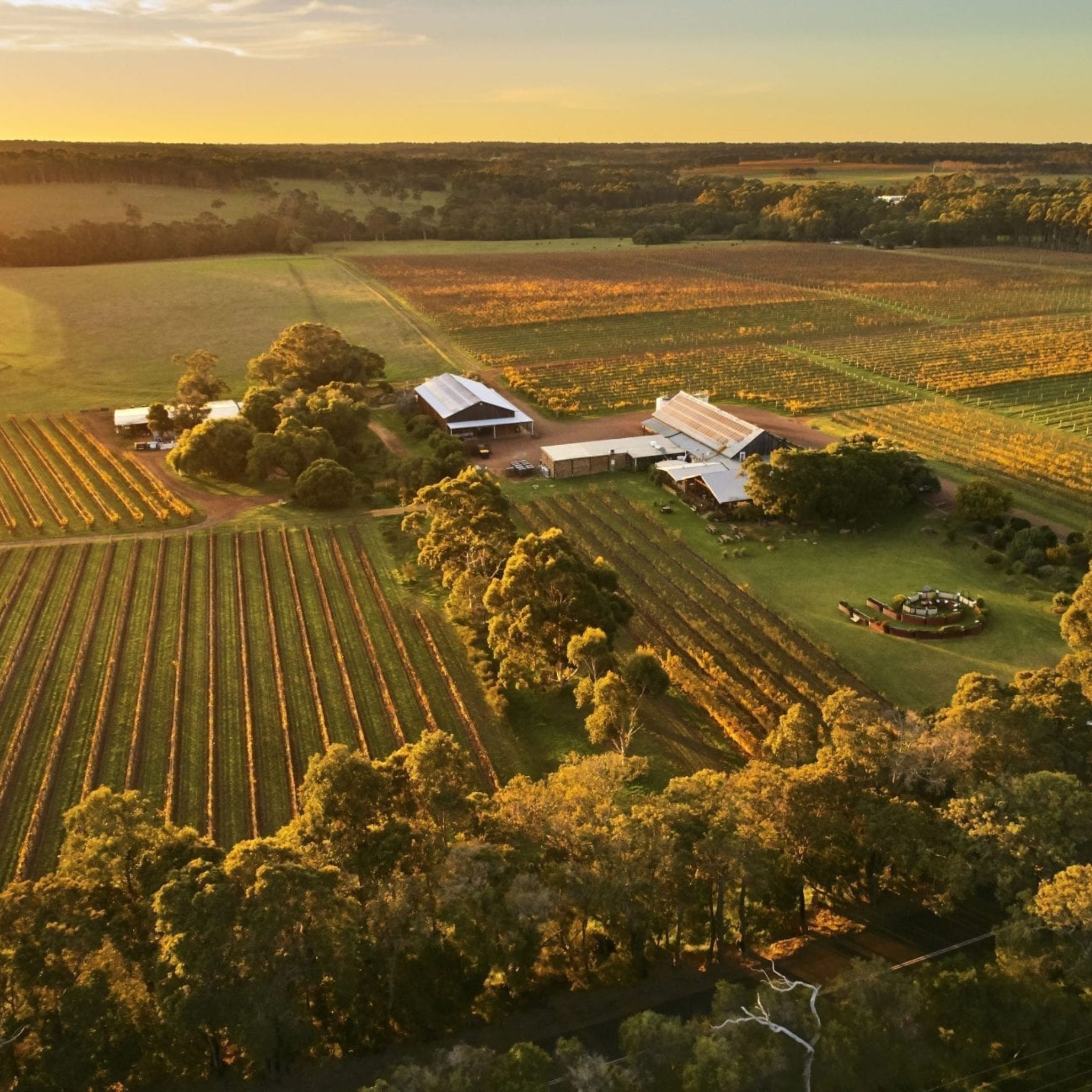 Cullen Wines Kevin John Chardonnay 2022 1.5L