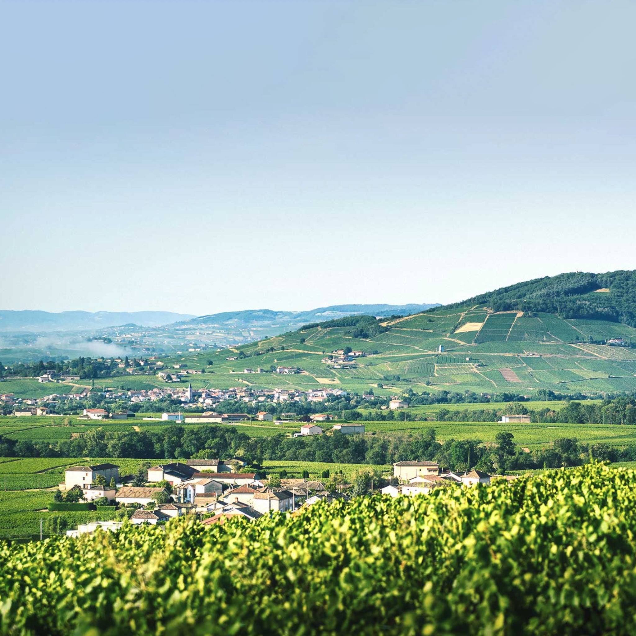 Domaine Daniel Bouland Chiroubles Chatenay 2022 1.5L