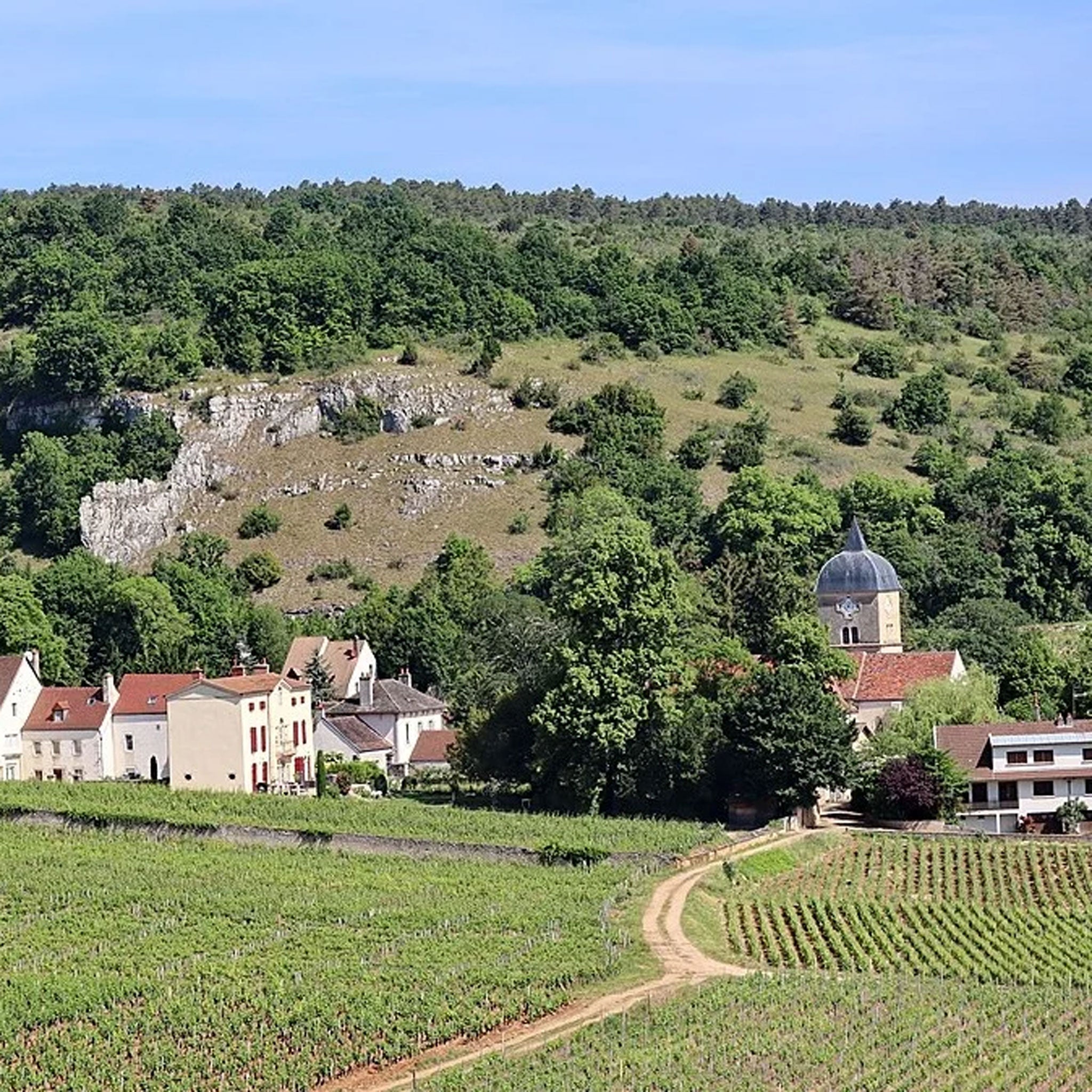 Domaine Henri & Philippe Jouan Chambolle Musigny 2022