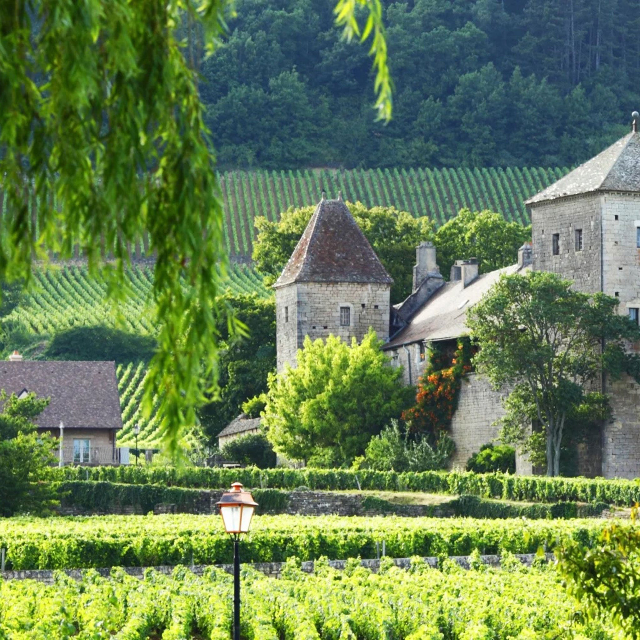 Domaine Henri & Philippe Jouan