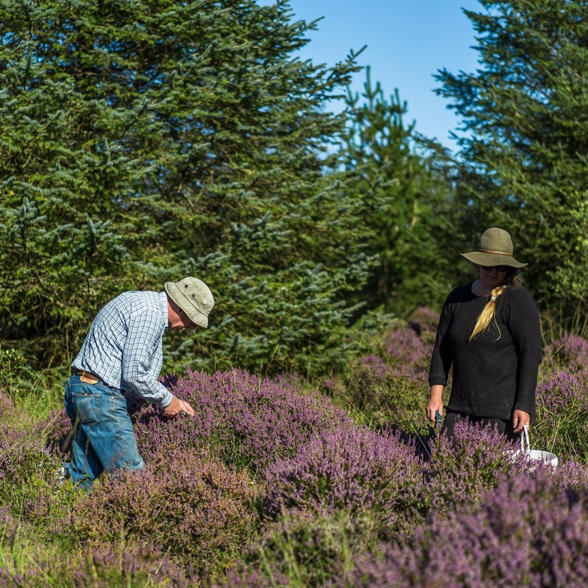 Bruichladdich 32 Year Old 1991 - Old & Rare Platinum (Hunter Laing) Whisky 700ml
