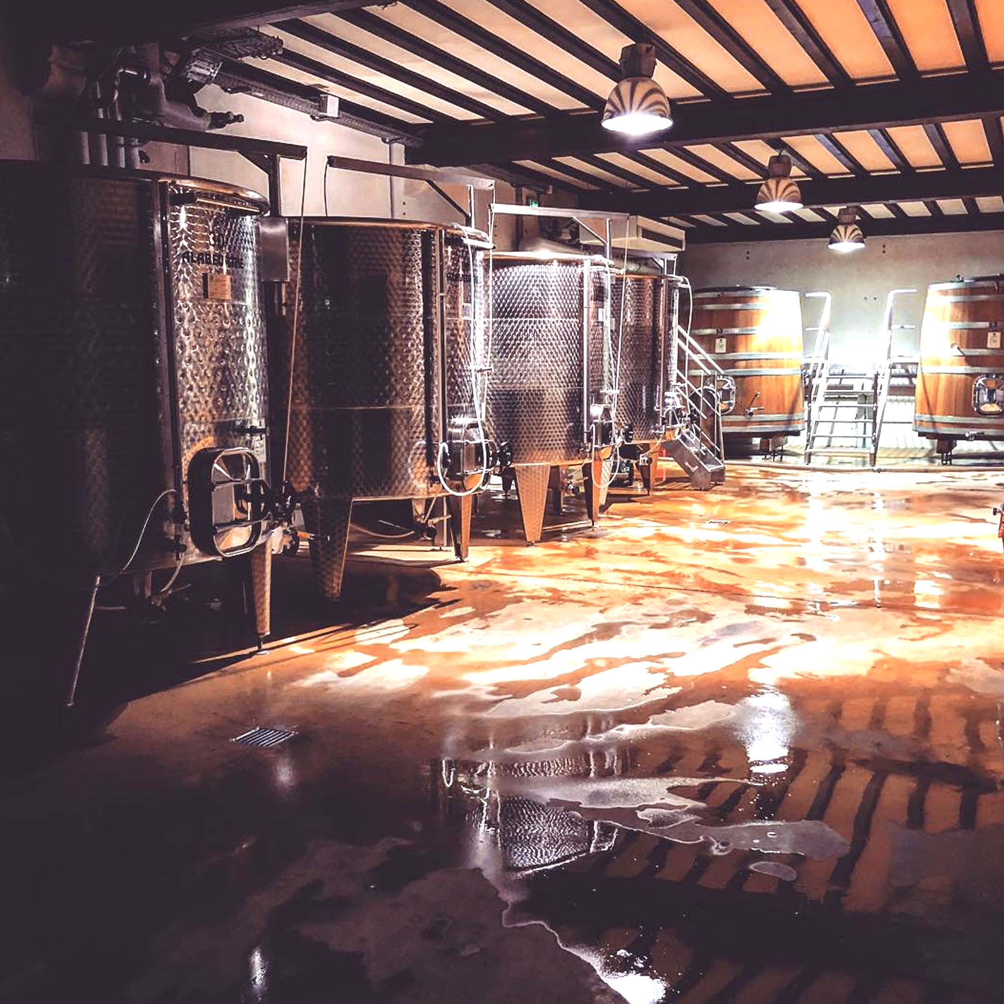 Benjamin Leroux Auxey-Duresses 2023