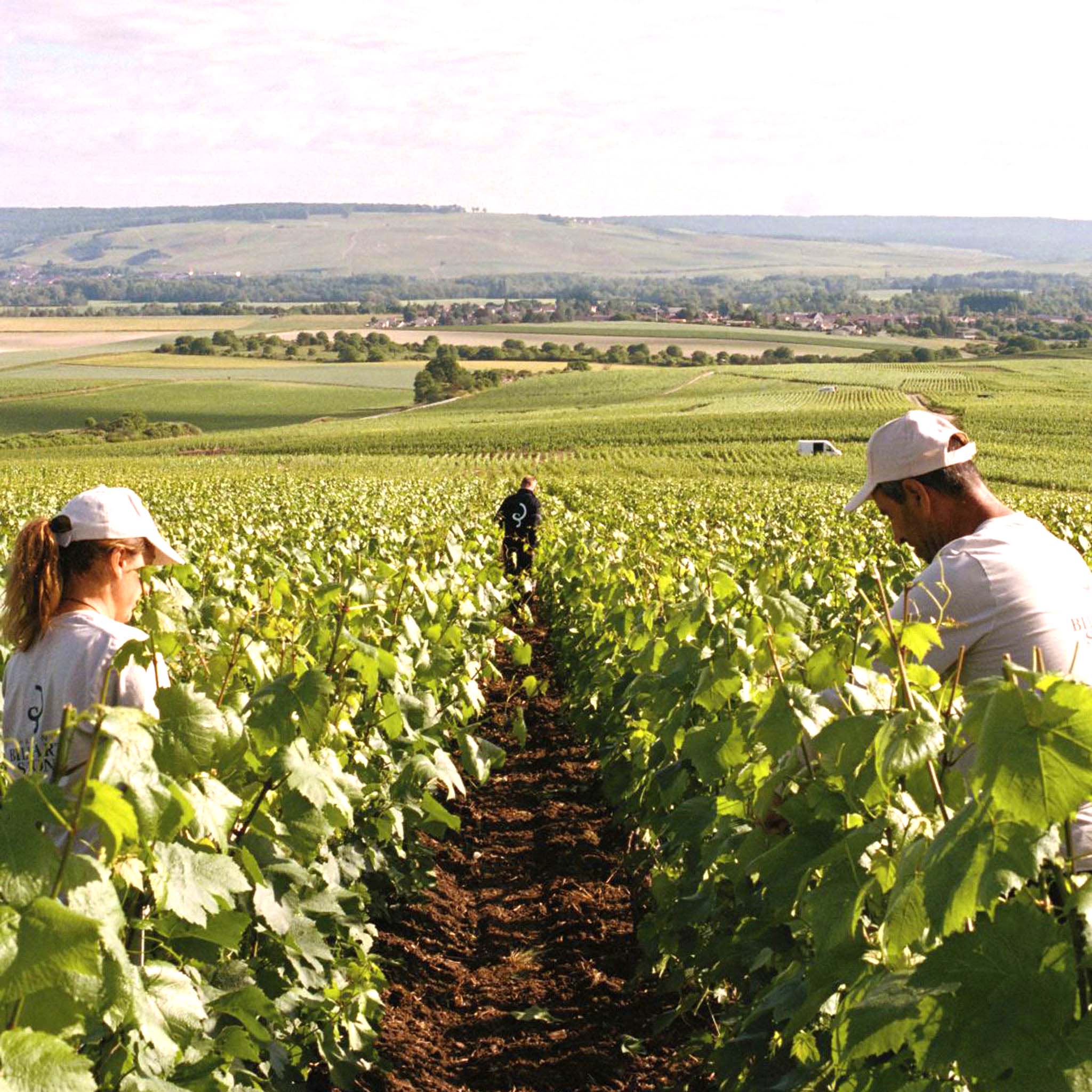 Billecart-Salmon Les Rendez-vous N°2 Pinot Noir Extra-Brut NV