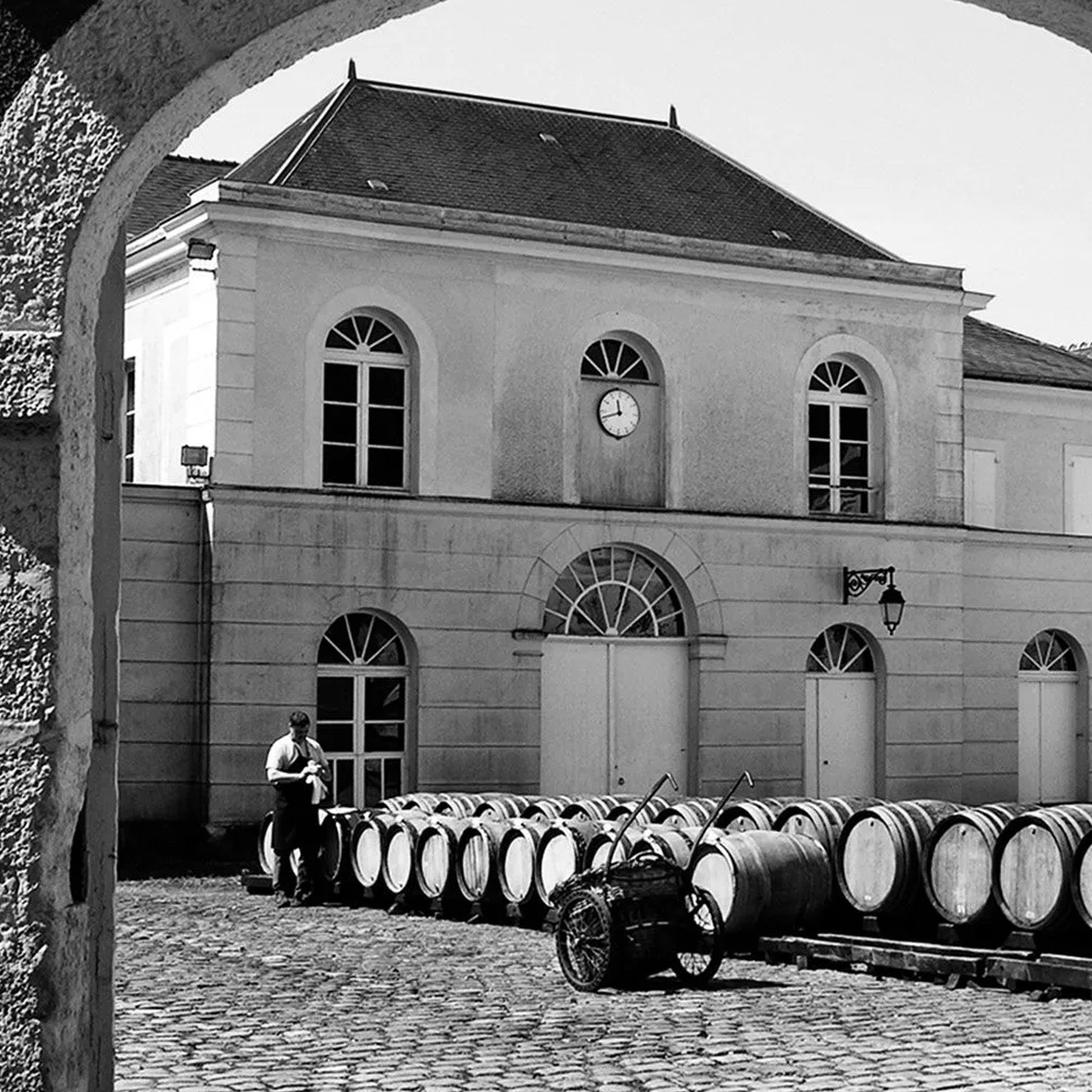 Bollinger B16 Champagne