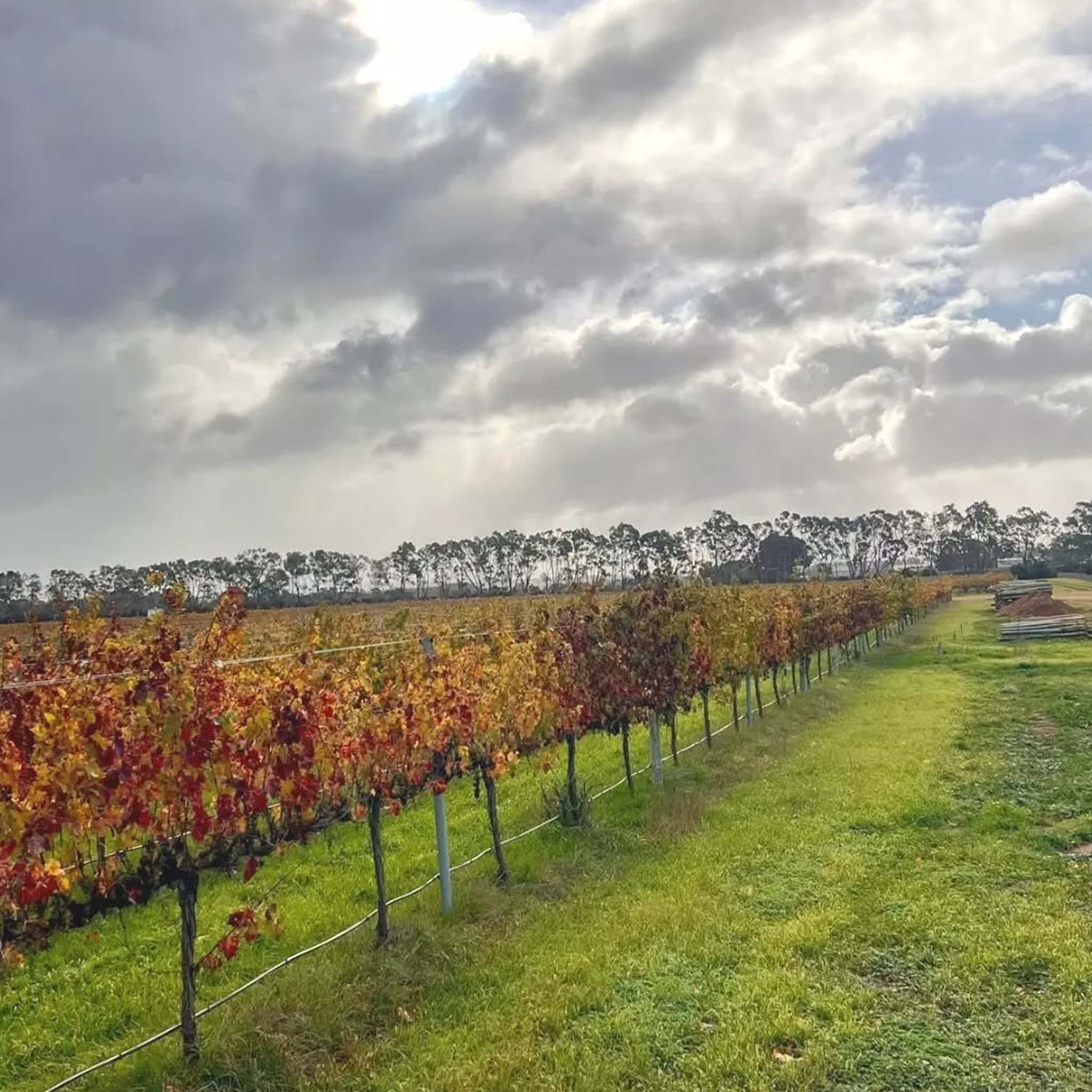 Bremerton Walter's Reserve Cabernet 2021