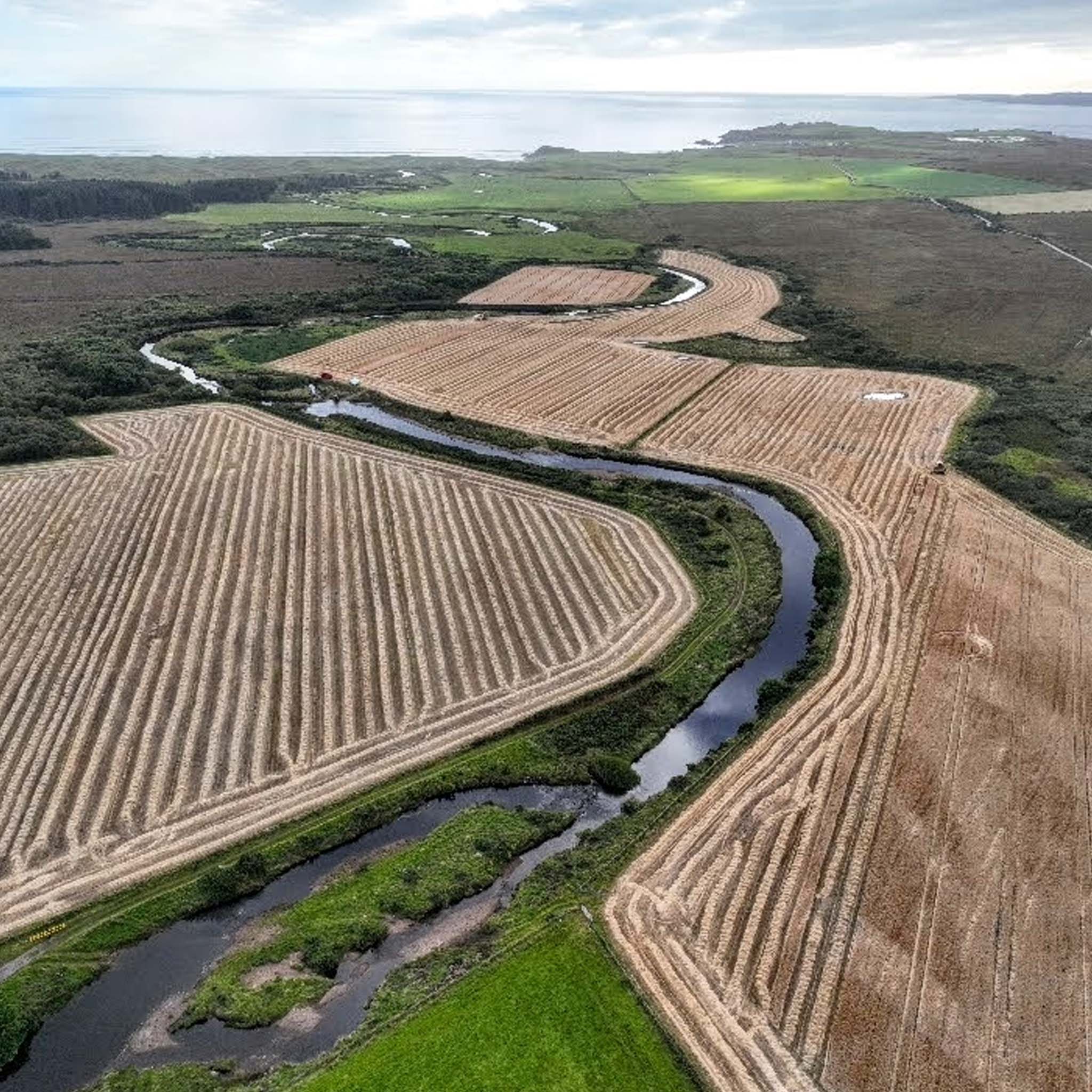 Bruichladdich Octomore 16.3 Cask Strength Single Malt Scotch Whisky 700ml