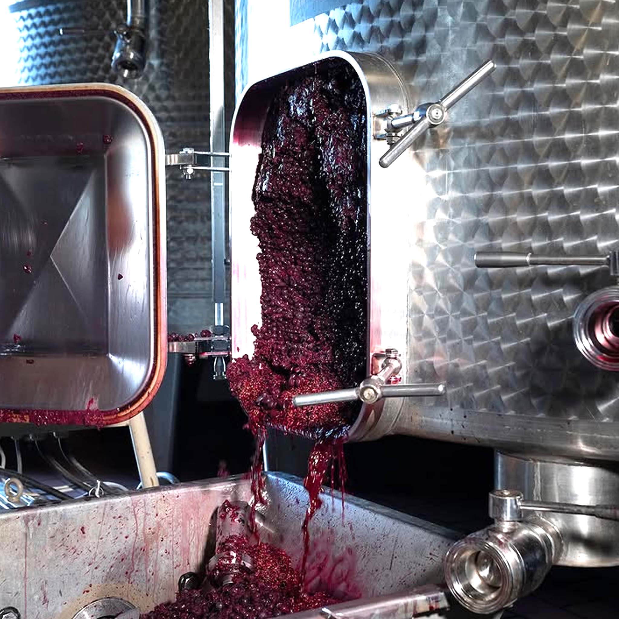 Buccia Nera Tenuta di Campriano Chianti 2022