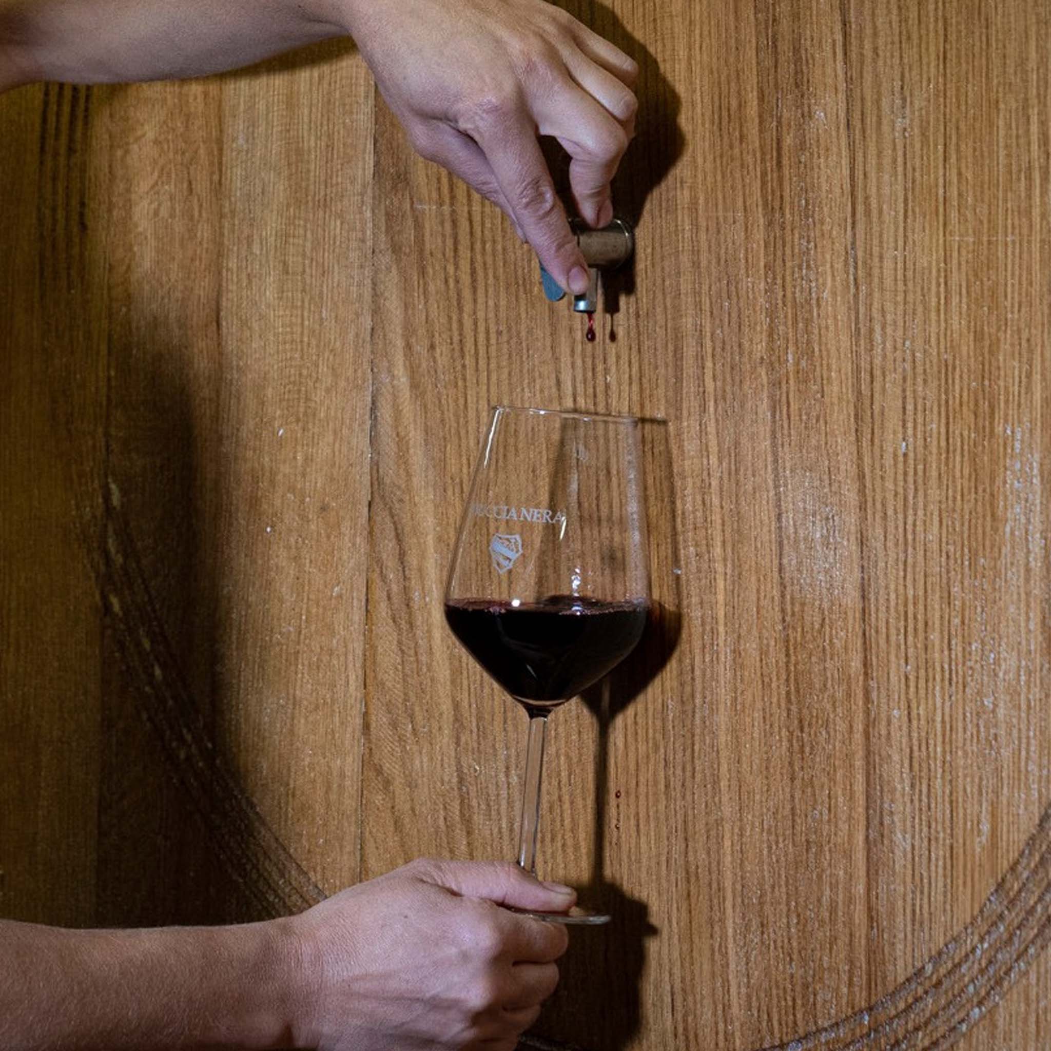 Buccia Nera Tenuta di Campriano Chianti 2022