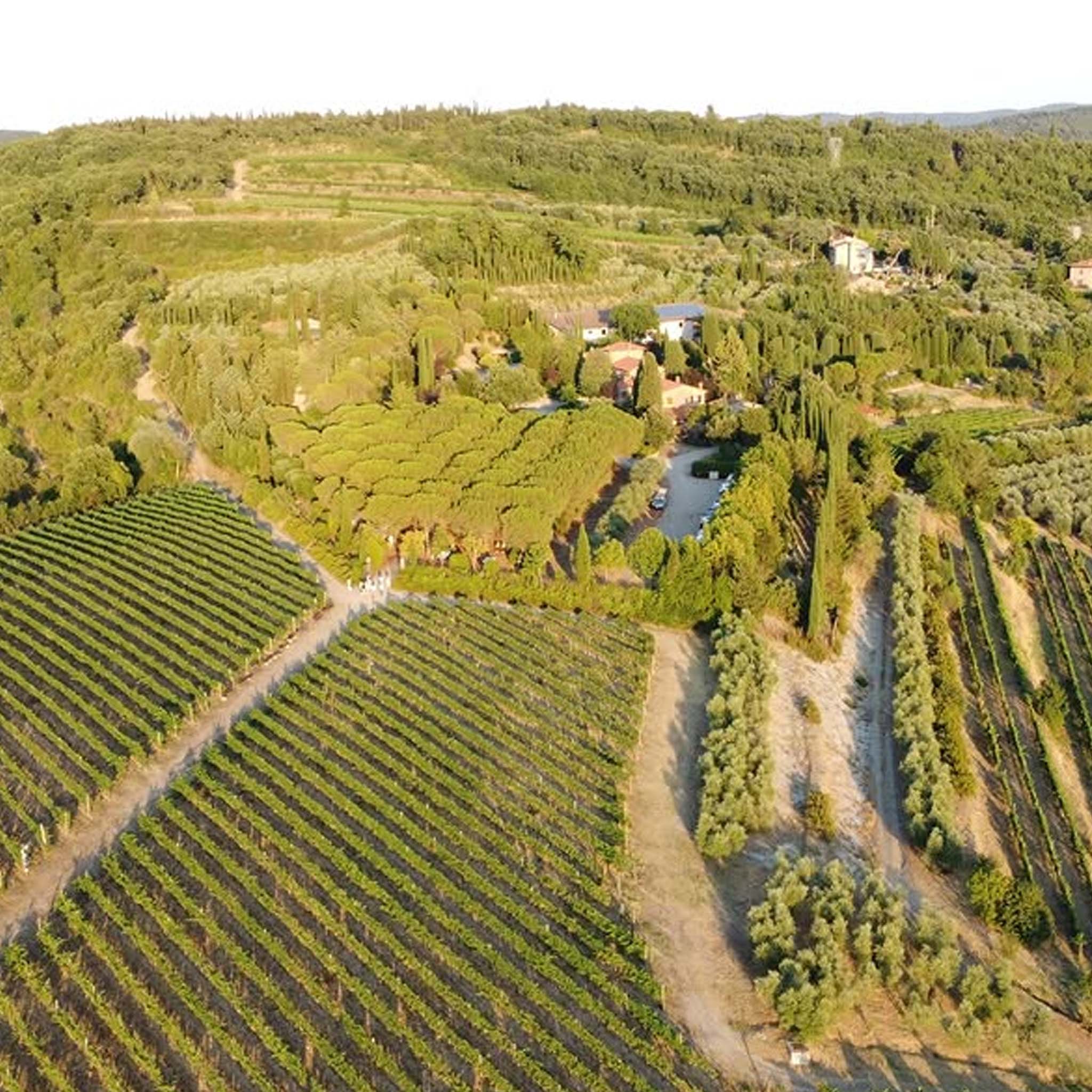 Philosophy | Buccia Nera