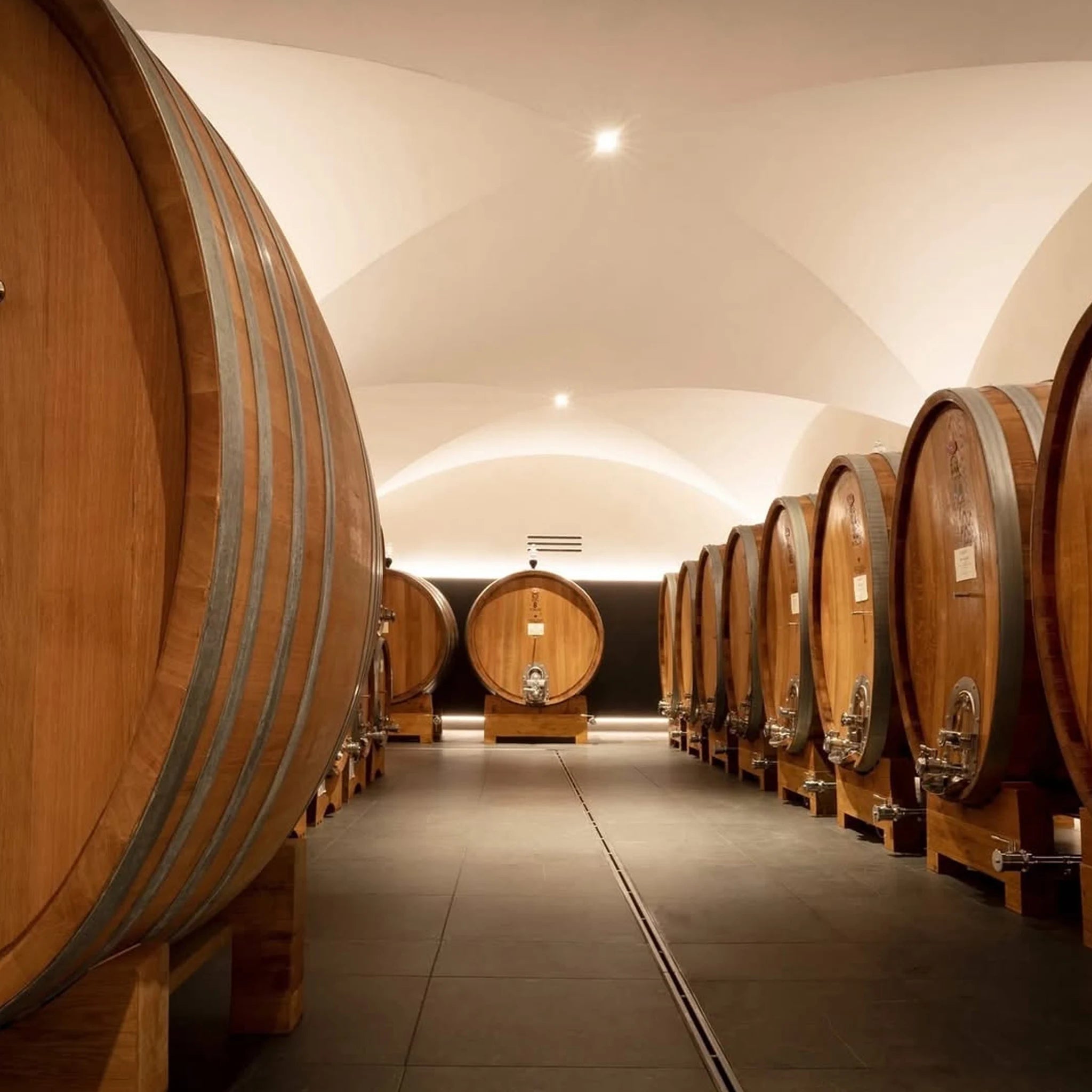 Canalicchio di Sopra Rosso di Montalcino 2024