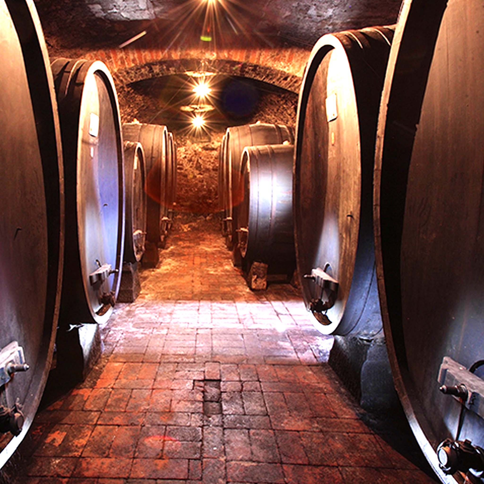 Cascina Ghercina Gavi 2022