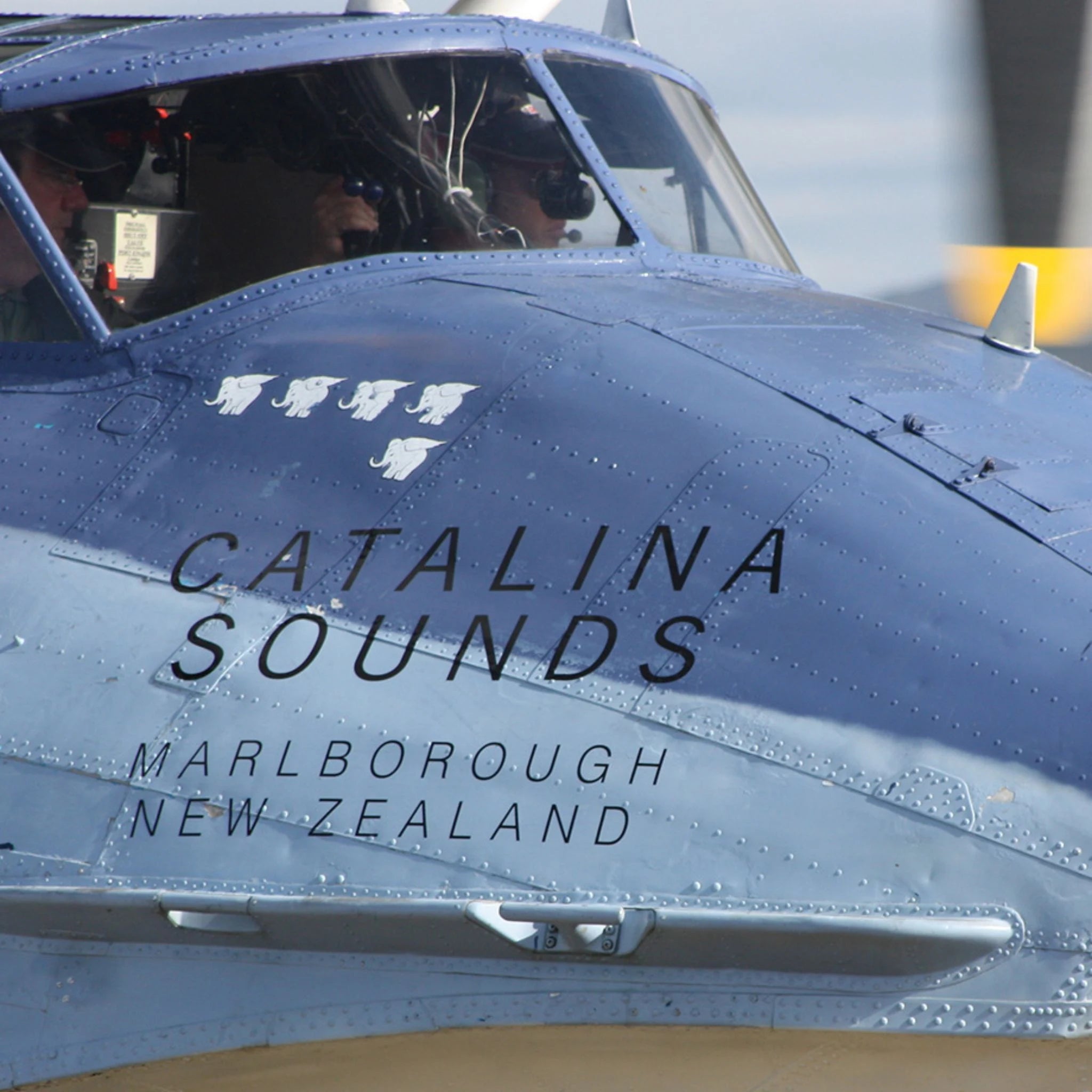 Catalina Sounds Pinot Gris 2025