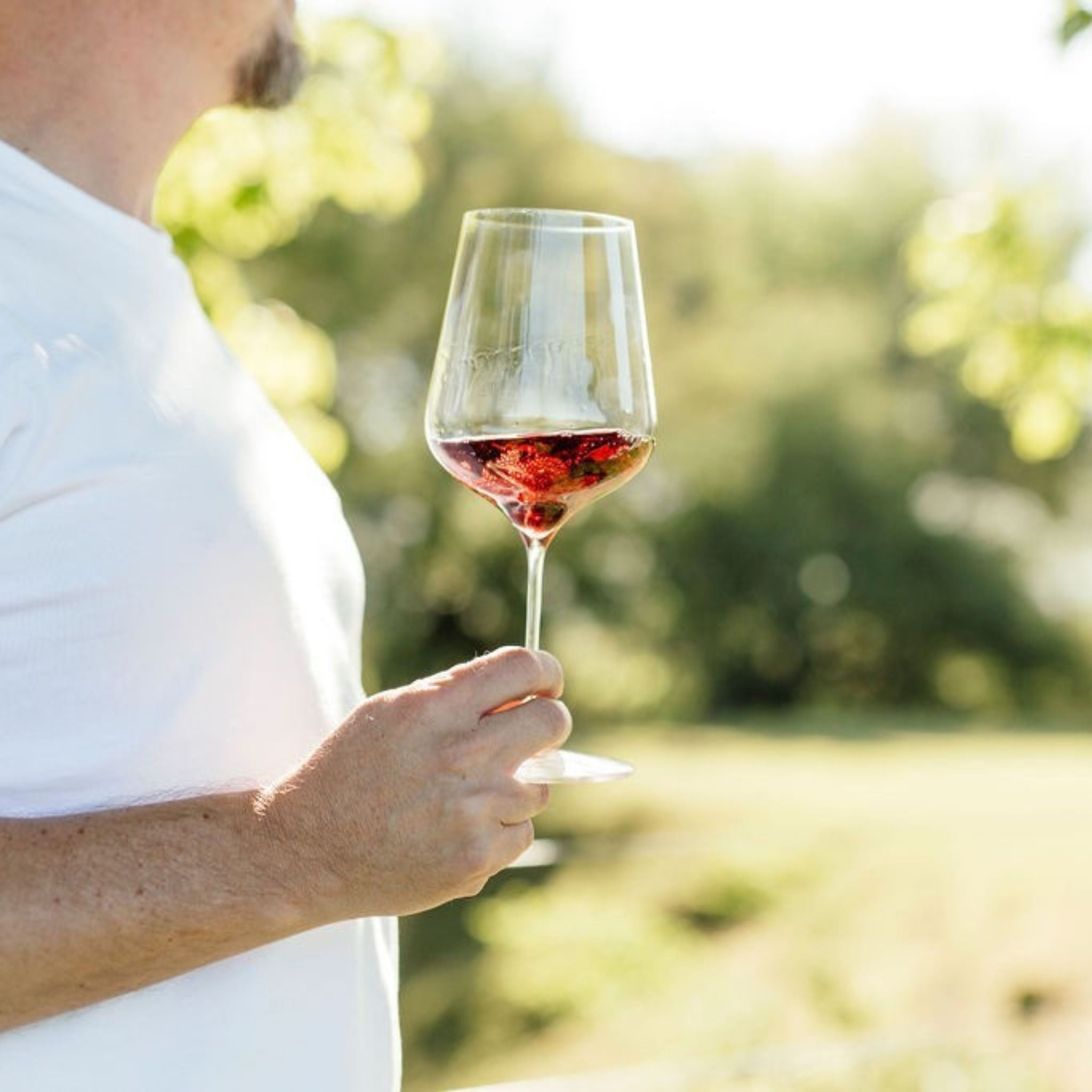 Catalina Sounds Pinot Noir 2024