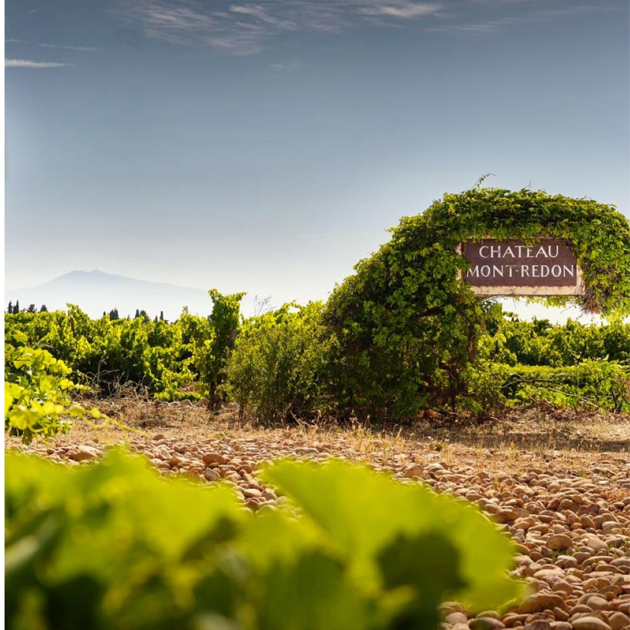 Château Mont-Redon Châteauneuf-du-Pape Le Plateau Blanc 2024