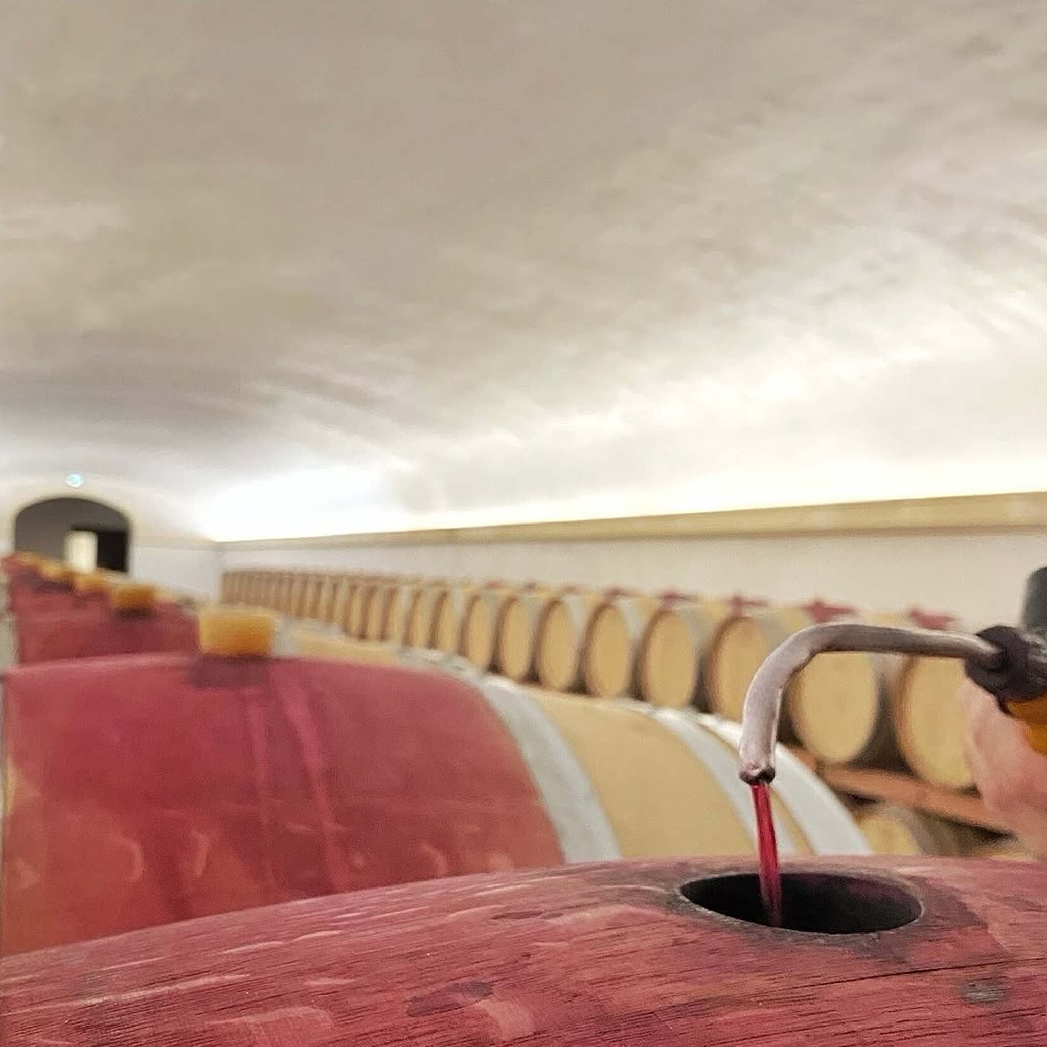 Chateau Mont-Redon Châteauneuf-du-Pape Blanc 2024