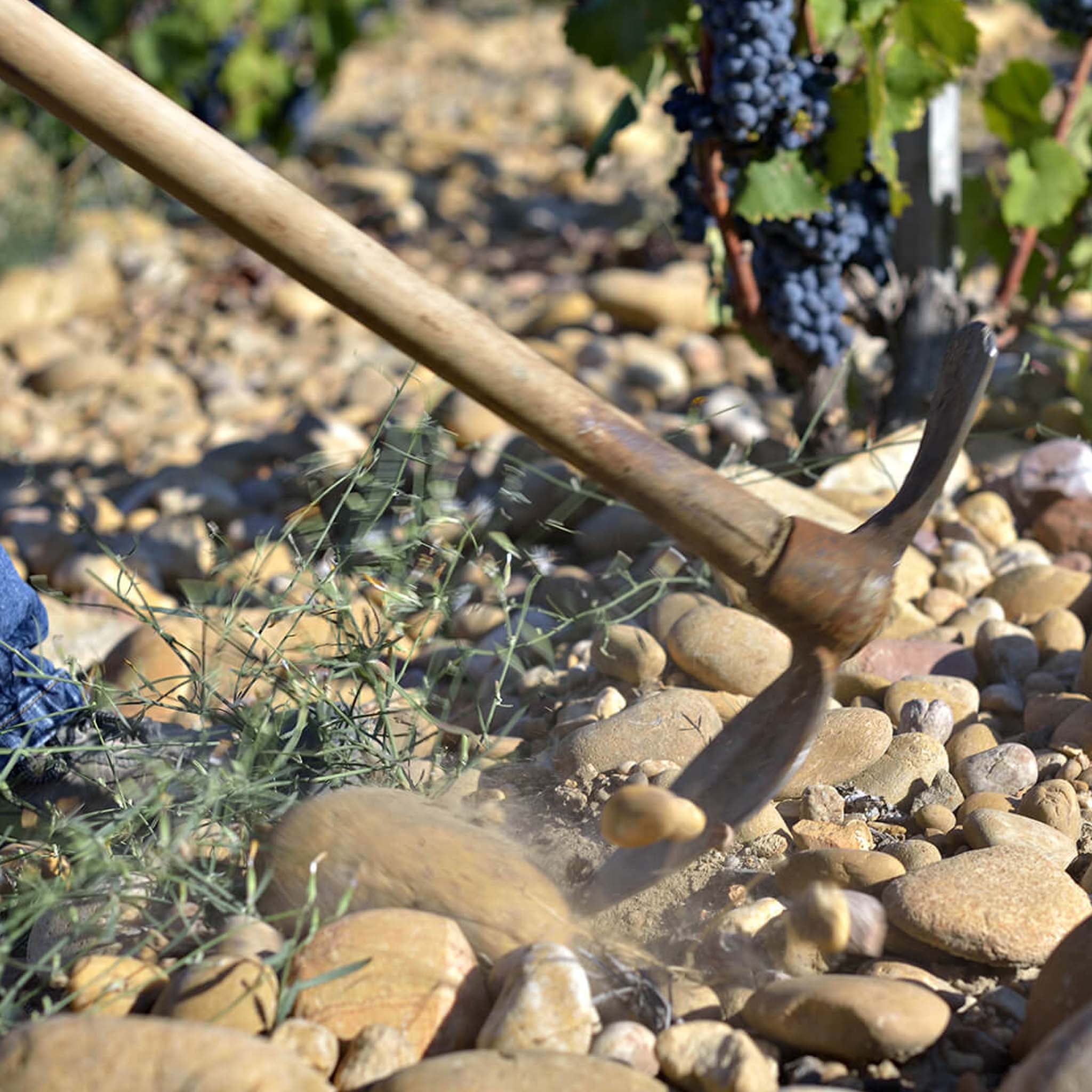 Philosophy | Château Mont-Redon