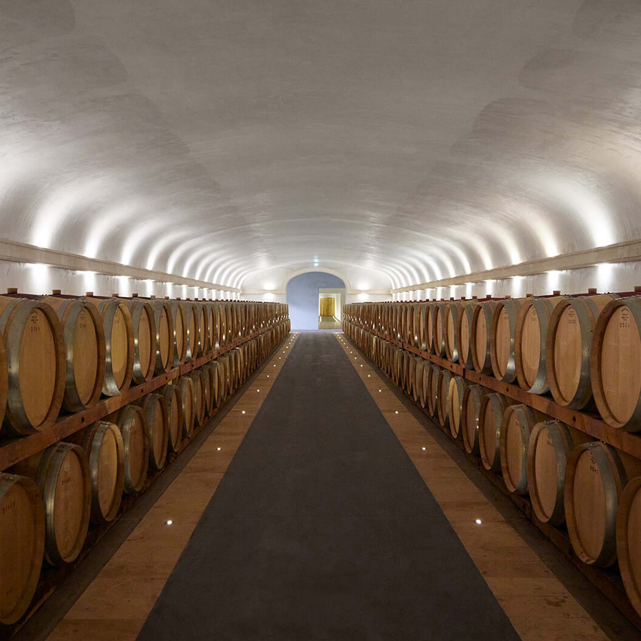 Château Mont-Redon Châteauneuf-du-Pape Le Plateau Blanc 2024