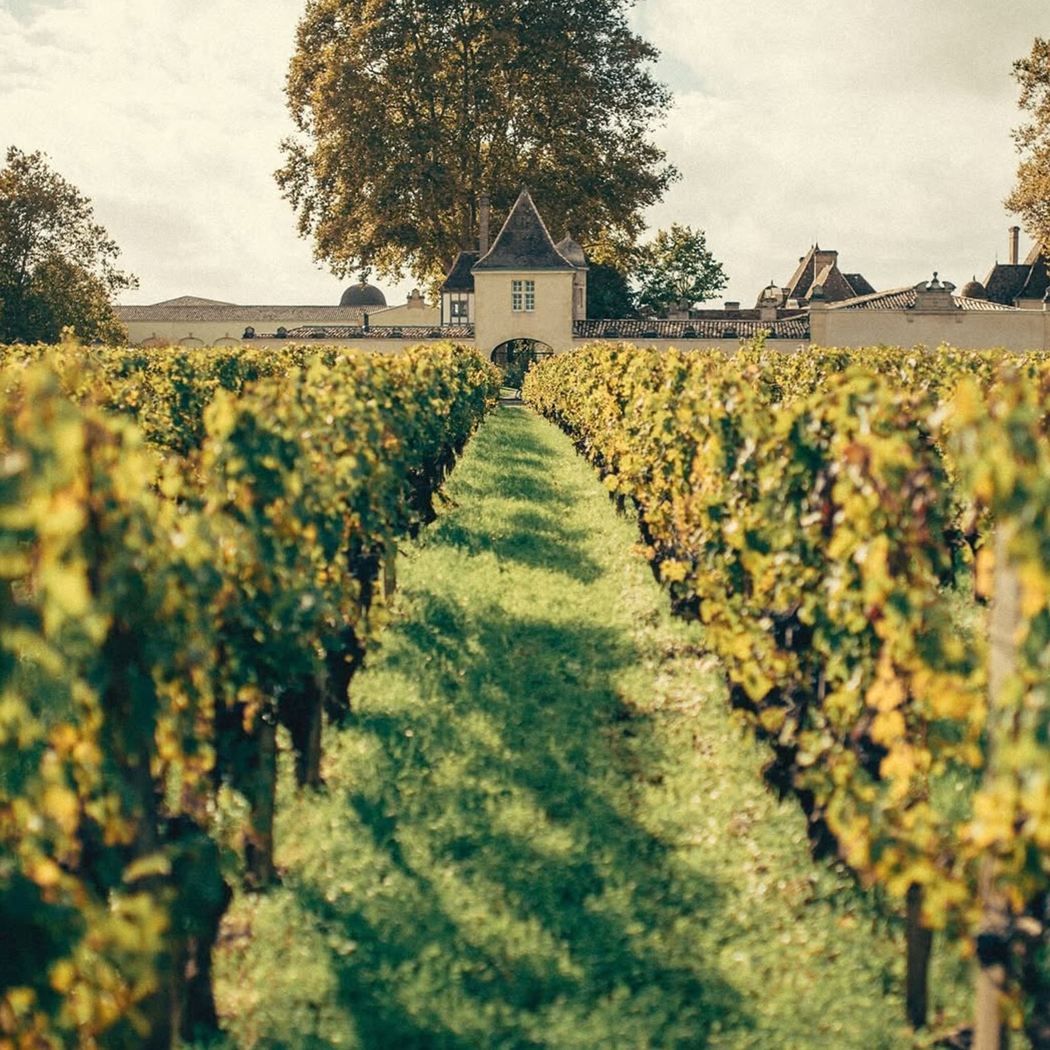 Segla By Chateau Rauzan-Segla Margaux 2015