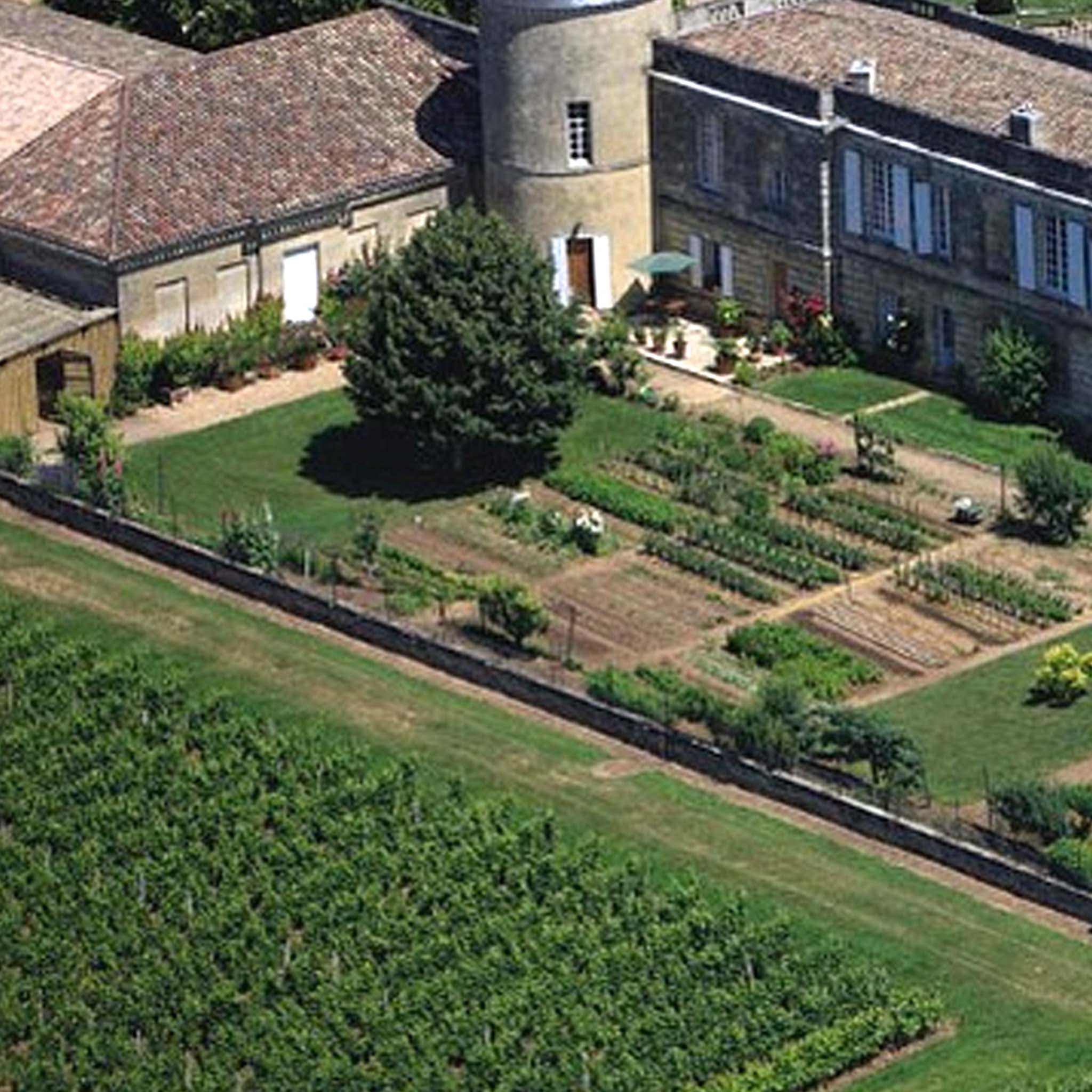 Chateau St. Georges Saint-Georges-Saint-Émilion 2019