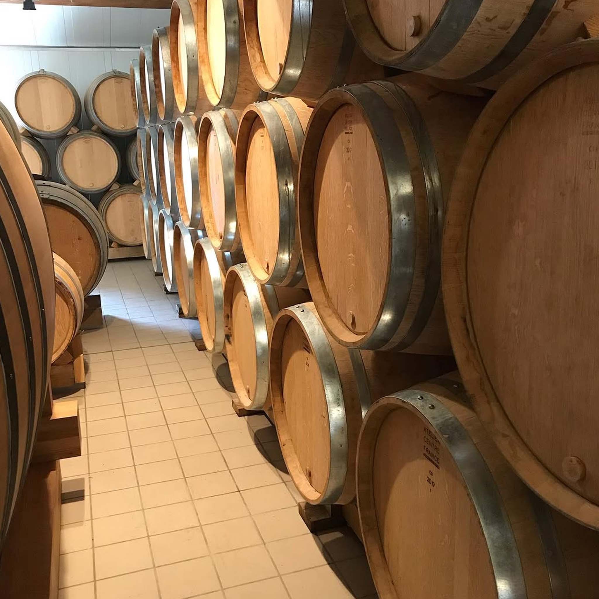 Domaine Claude Riffault Les Chasseignes Sancerre 2023