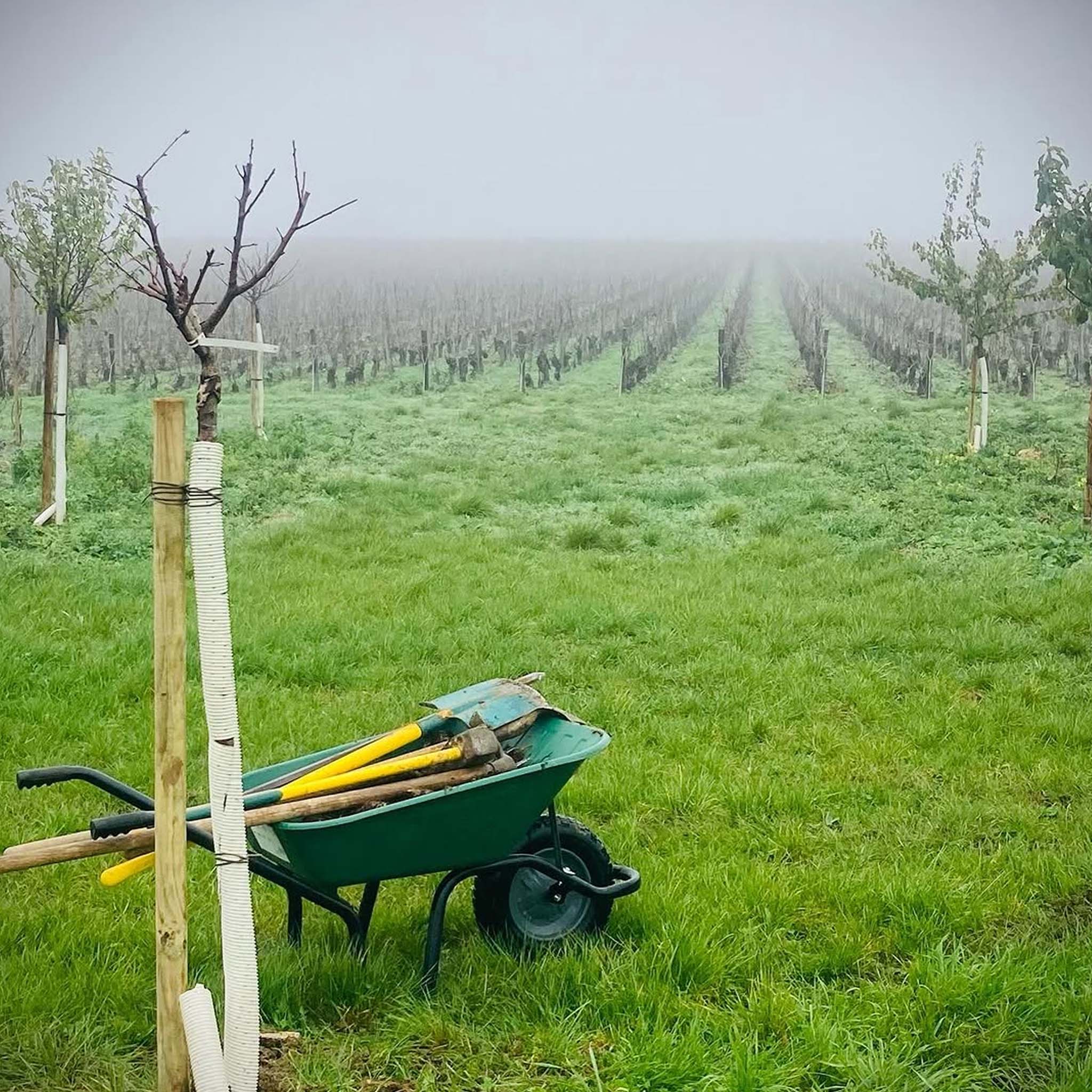 Domaine Claude Riffault Les Chasseignes Sancerre 2023