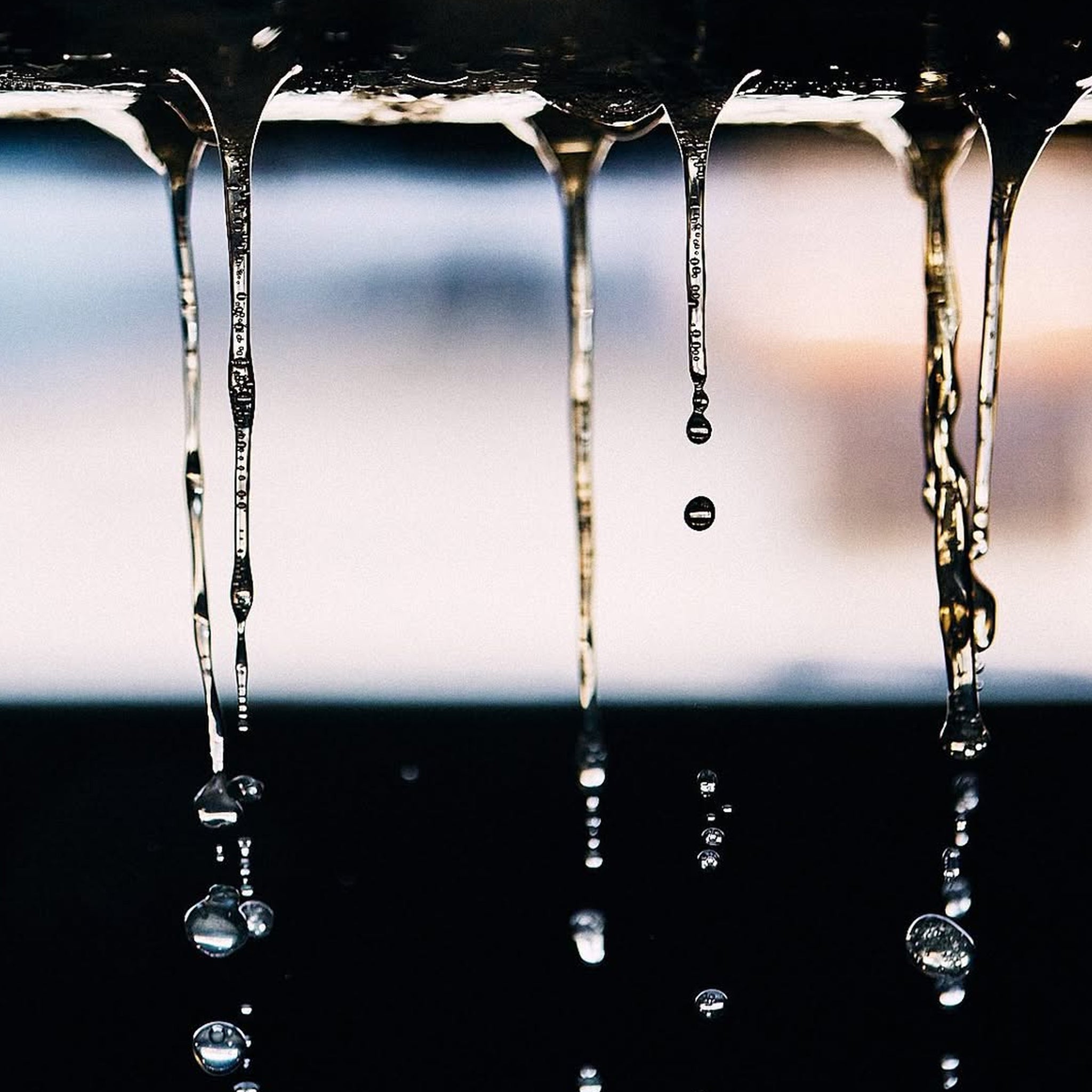 Clonakilla Riesling 2025