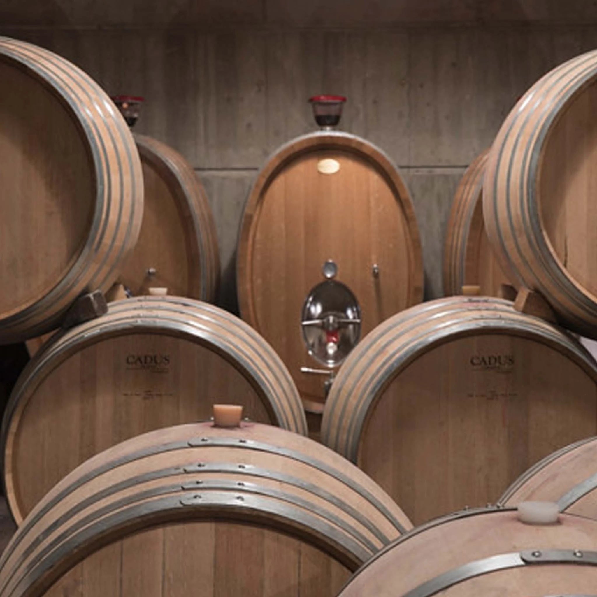 Clos Des Papes