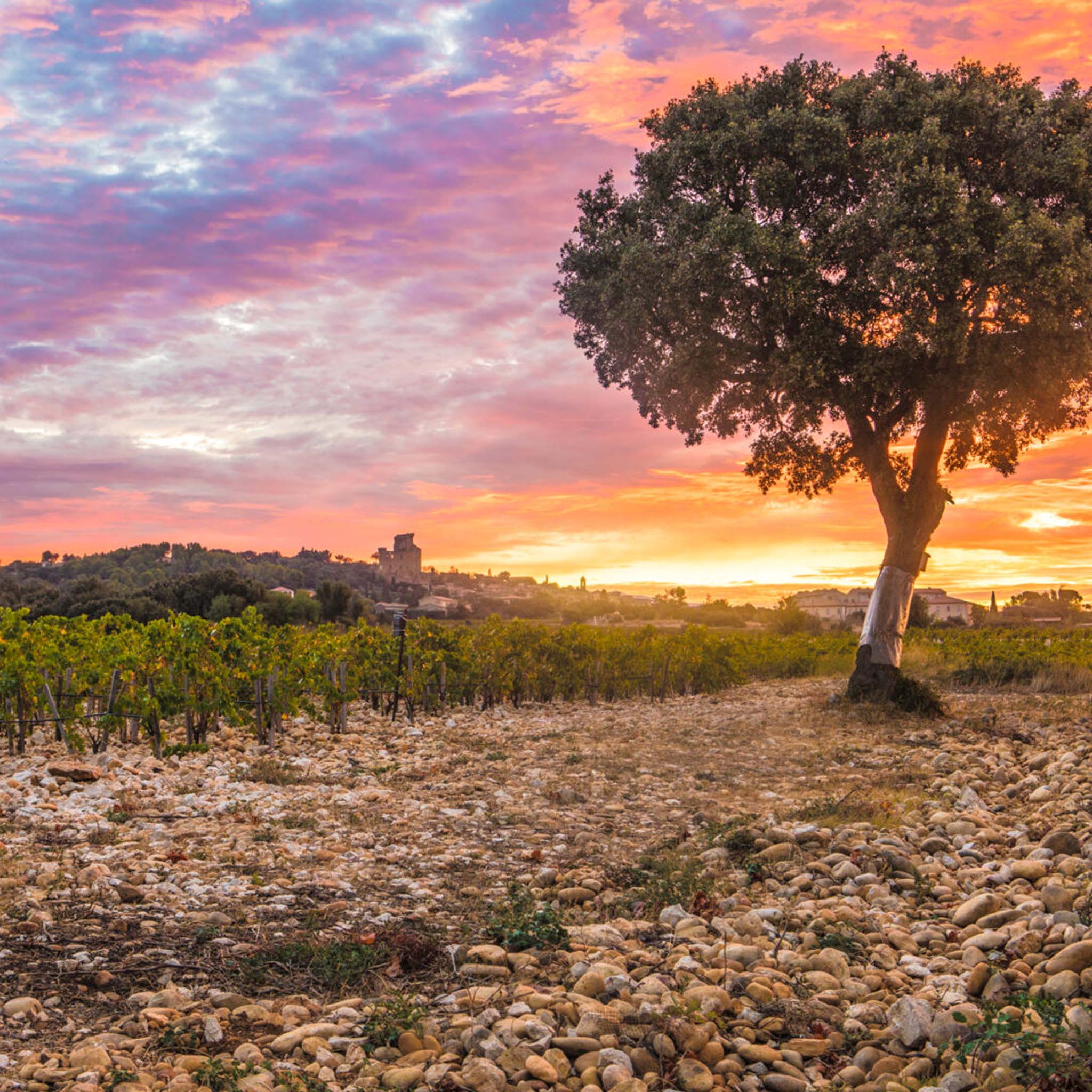 Clos des Papes Châteauneuf-du-Pape 2022