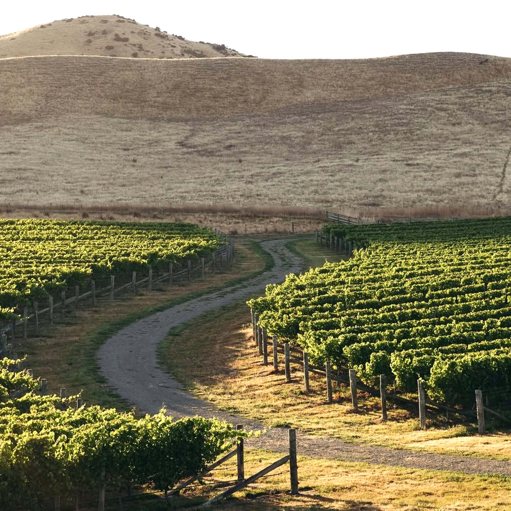 Cloudy Bay Te Wāhi Pinot Noir 2022