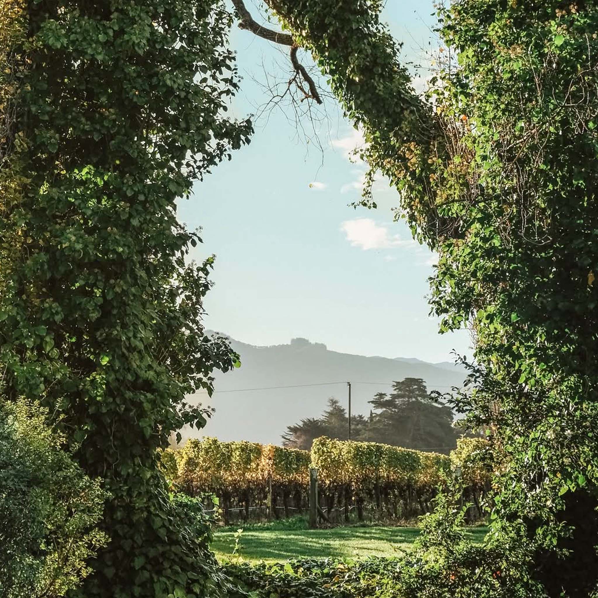 Cloudy Bay Te Wāhi Pinot Noir 2022