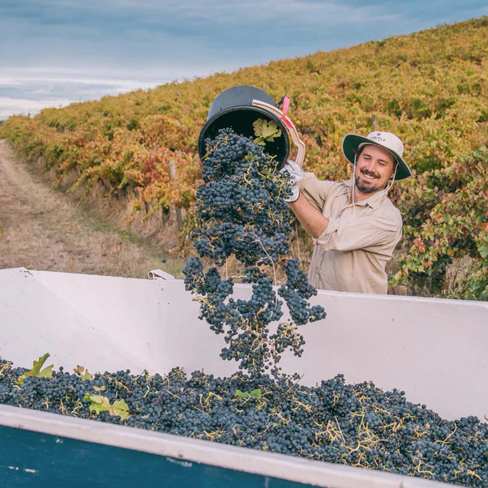 The Philosophy | Coriole Estate