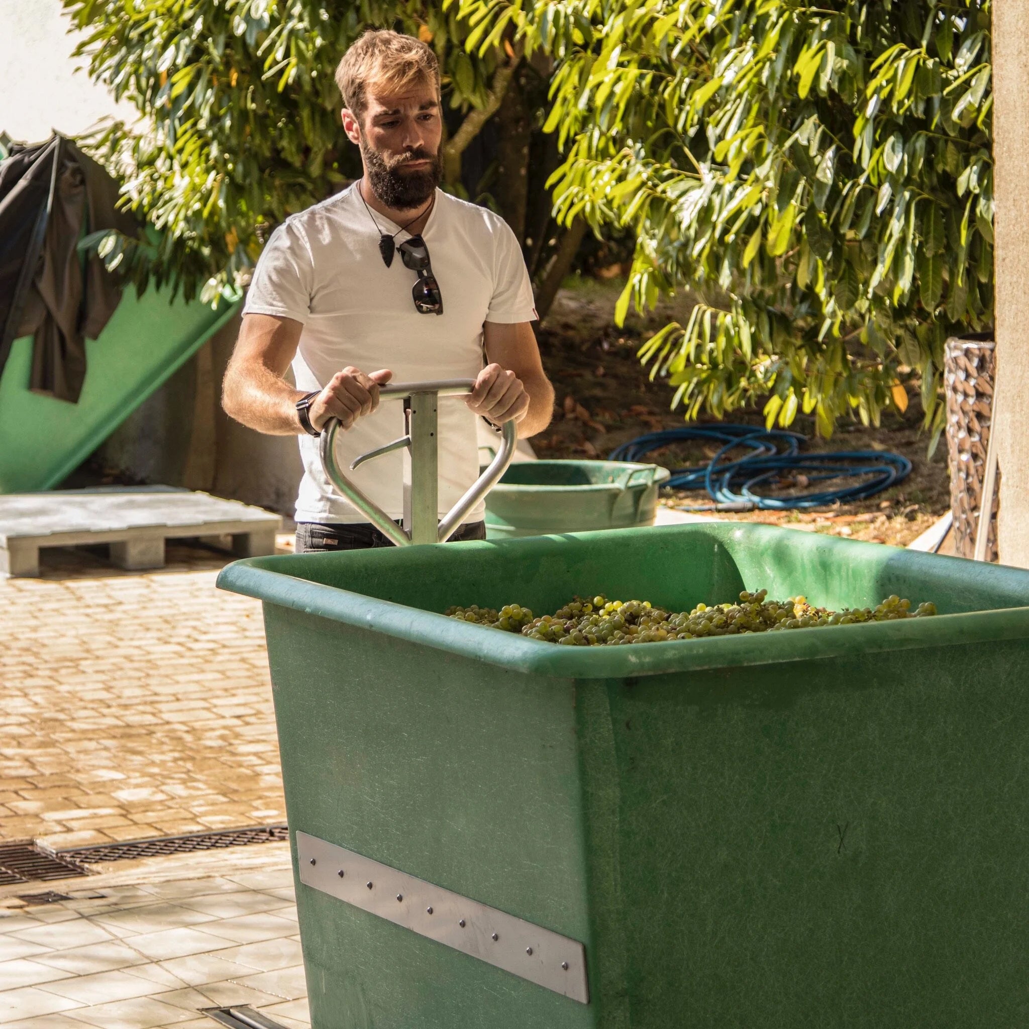 Domaine Didier Dagueneau Vin de France Blanc Etc 2022