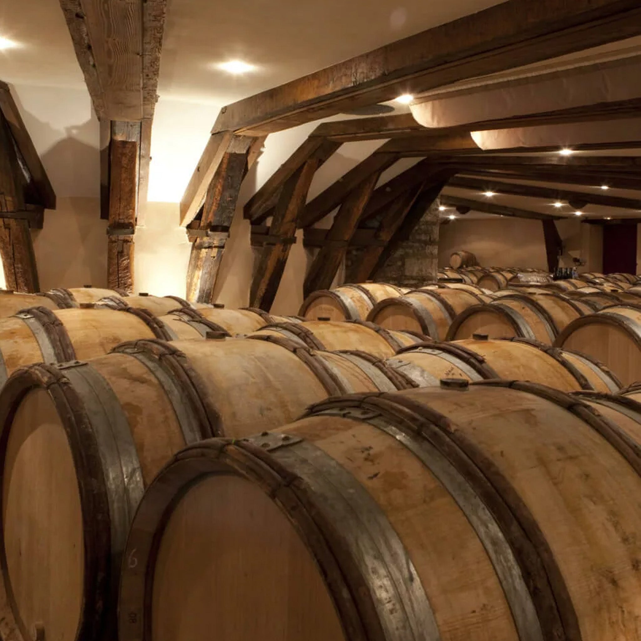 Domaine Chanson Charmes Chambertin Grand Cru 2016
