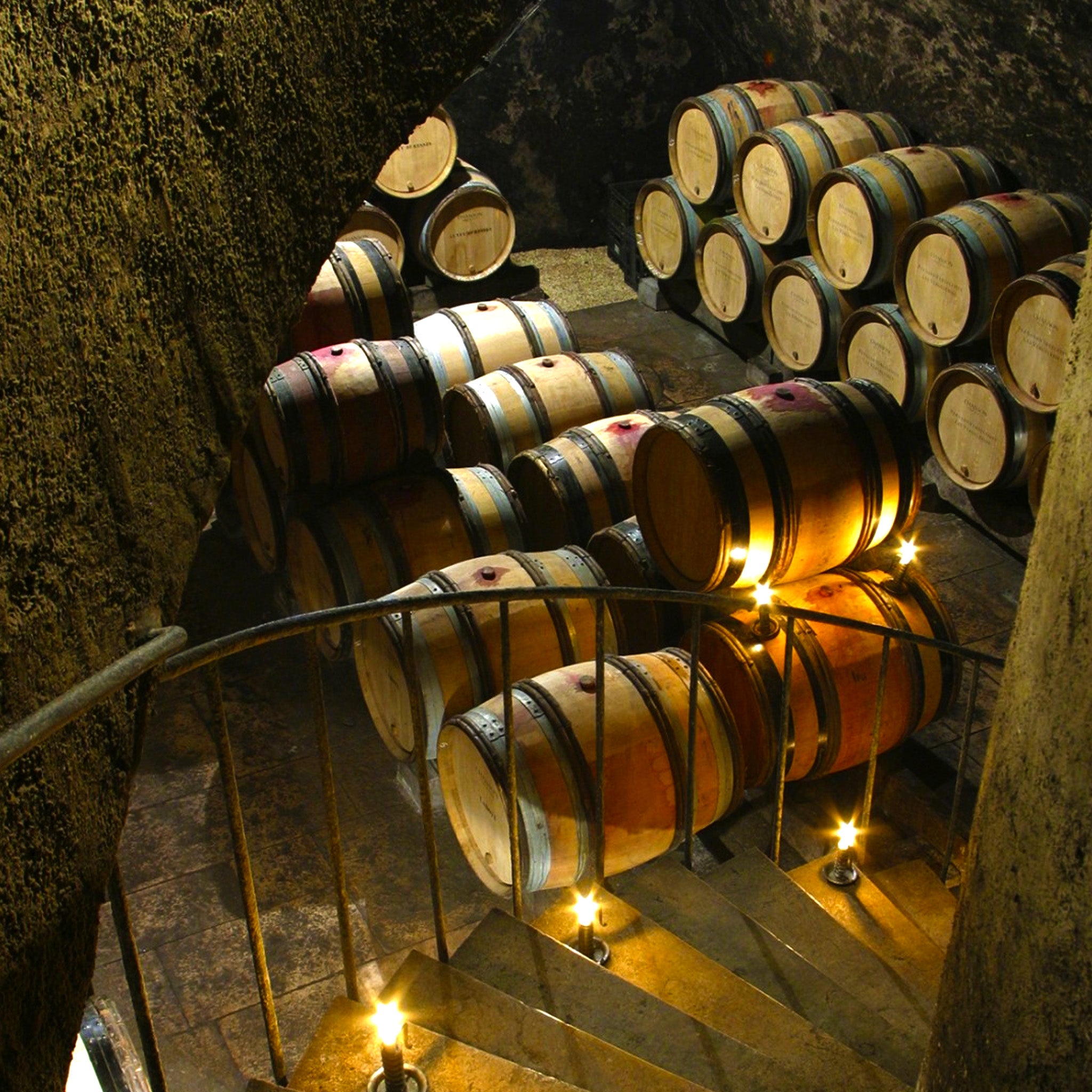 Domaine Chanson Corton Vergennes Grand Cru 2020