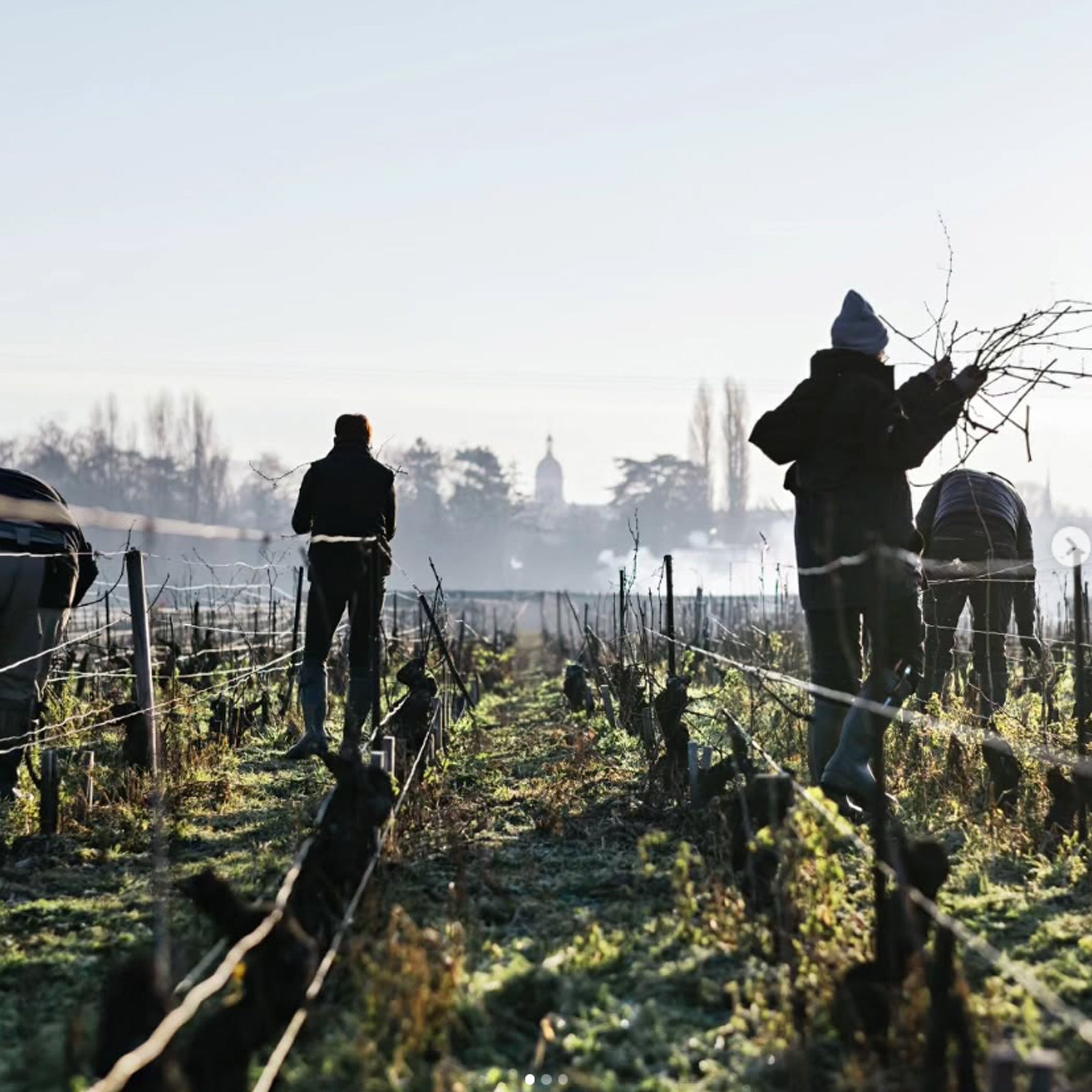 Domaine Chanson Savigny Les Beaune Hauts Marconnets 1er Cru Blanc 2020