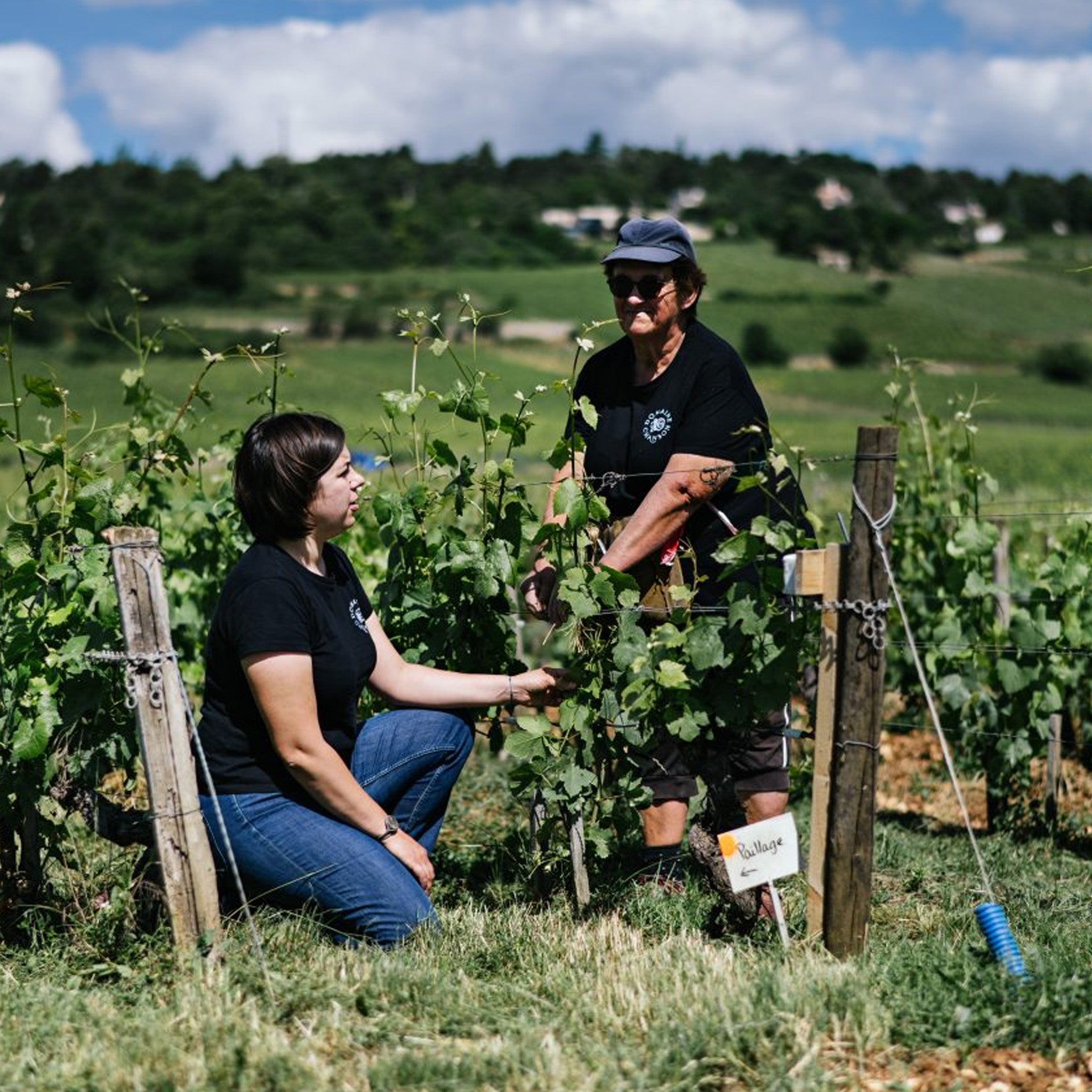 Domaine Chanson Corton Vergennes Grand Cru 2020